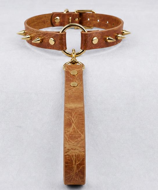 A brown leather collar with spikes and a gold-colored metal clasp.