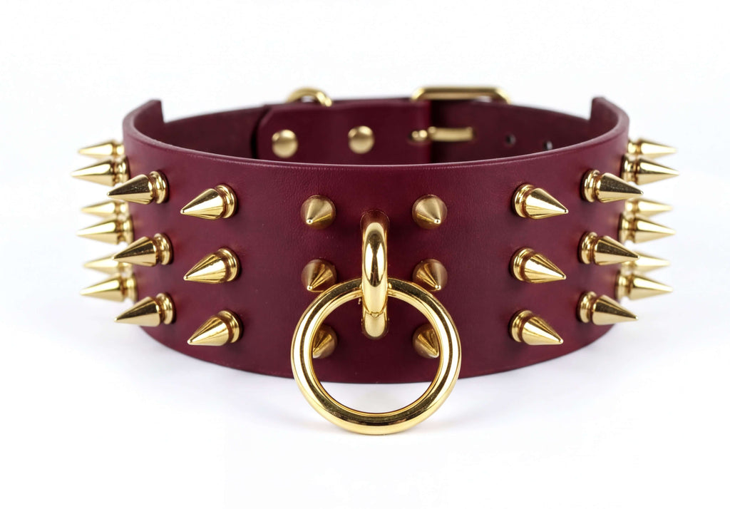 A burgundy leather collar with gold spikes protruding from it, and a gold ring with a hole in the center.