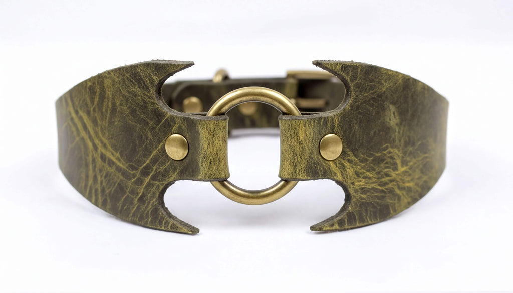A close-up image of a leather collar with a metal ring and two gold-colored rivets.