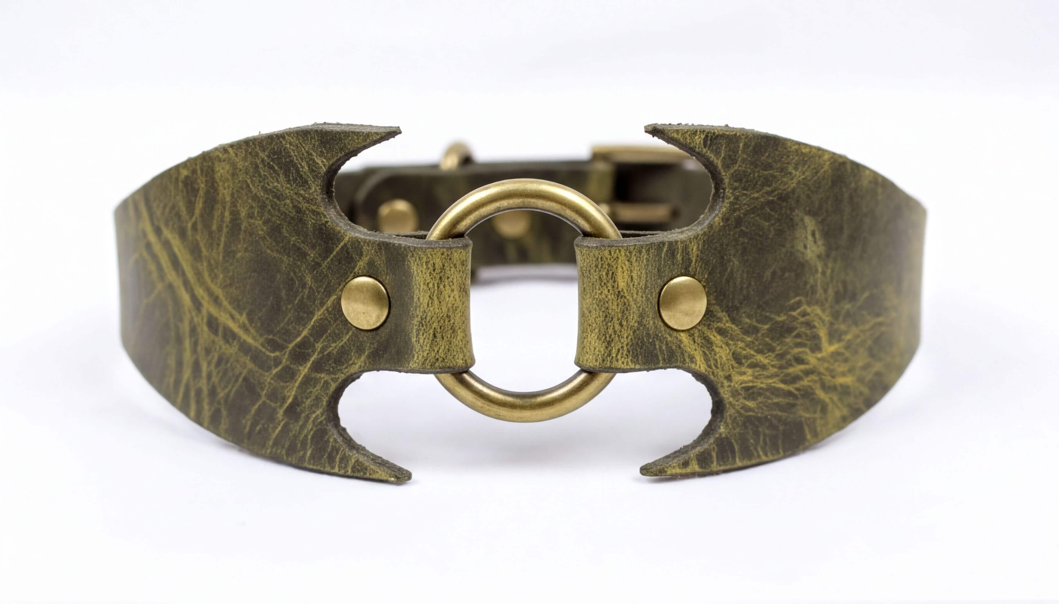 A close-up image of a leather collar with a metal ring and two gold-colored rivets.