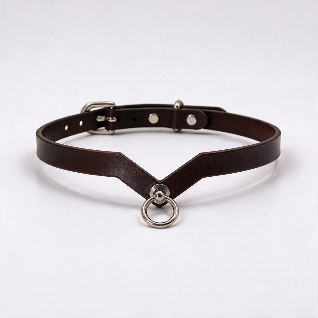 A brown leather choker necklace with a metal ring and buckle.