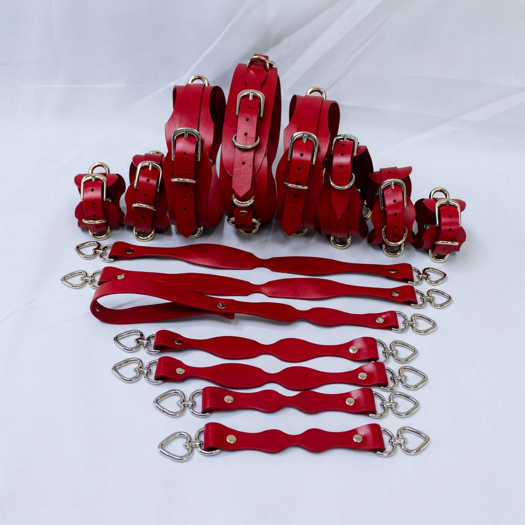 A collection of red leather straps and buckles arranged on a white background.