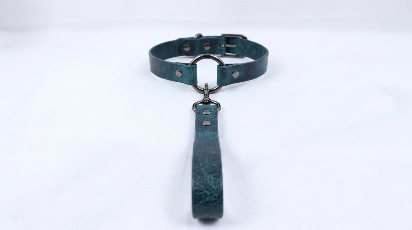 A dark green leather collar with a metal buckle and a handle attached to it.