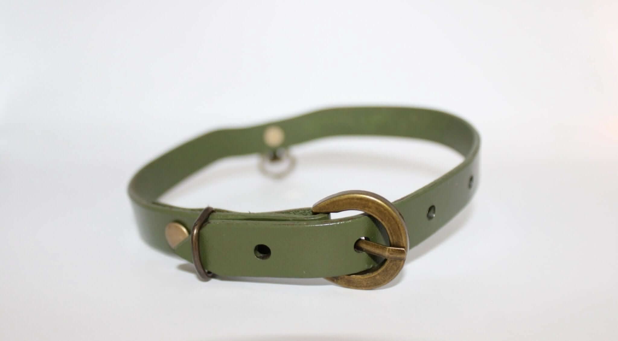 Gothic green leather collar with O-ring, perfect for BDSM, bondage play, and alternative fashion enthusiasts.