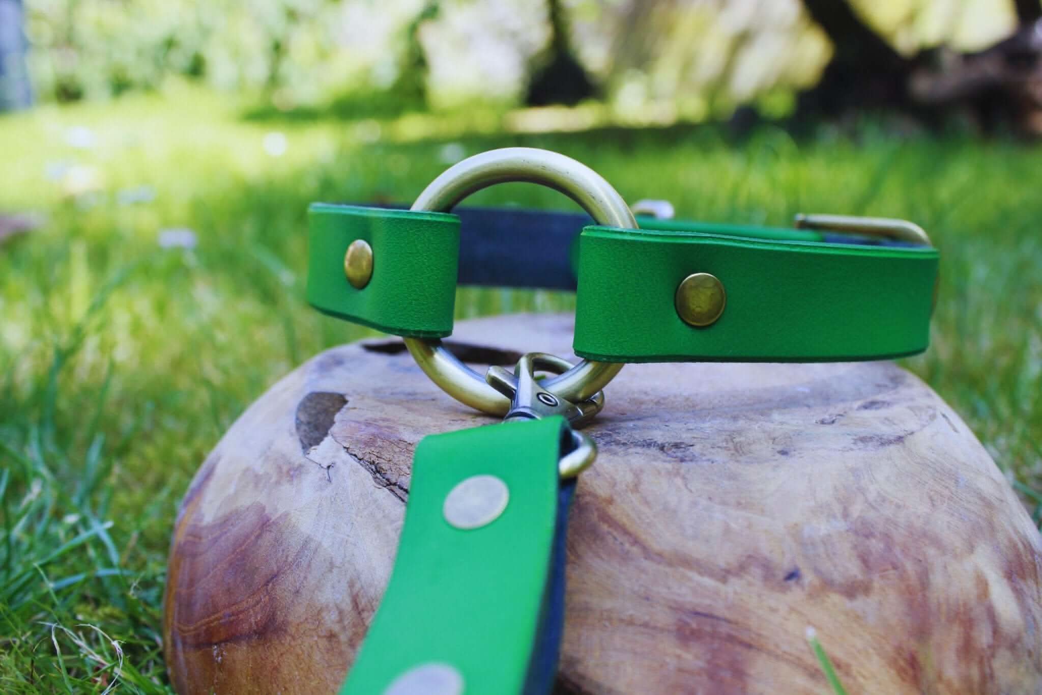 Green leather BDSM collar with leash, stylish and comfortable submissive jewelry for bondage and DDLG play.