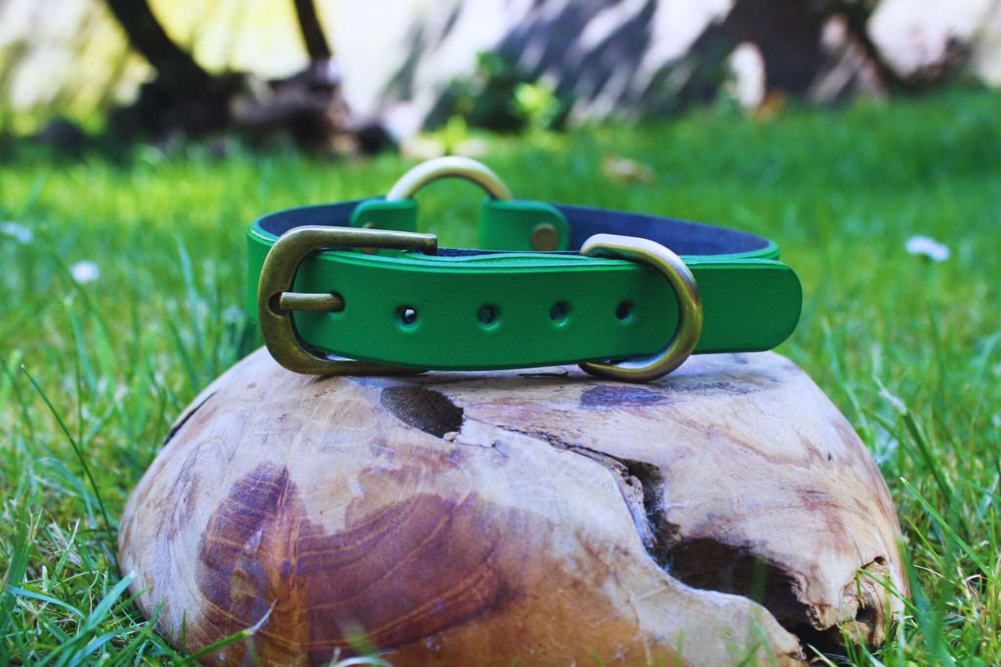 Green leather BDSM collar with brushed gold-tone hardware, perfect for submissive jewelry and bondage gear.