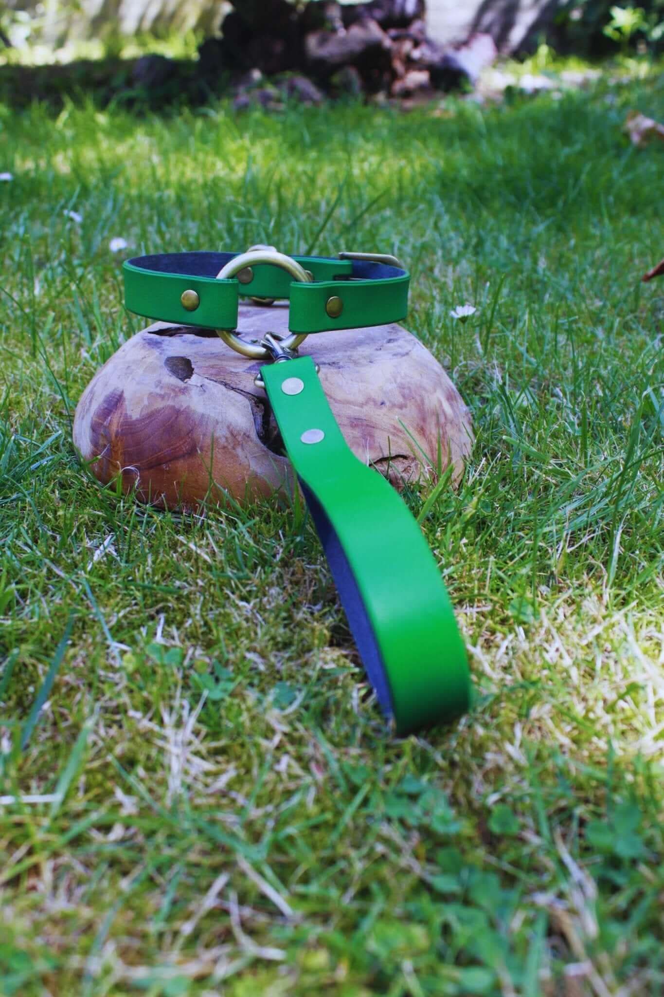 Green leather BDSM collar with leash on grass, perfect submissive collar for bondage and playful attire.