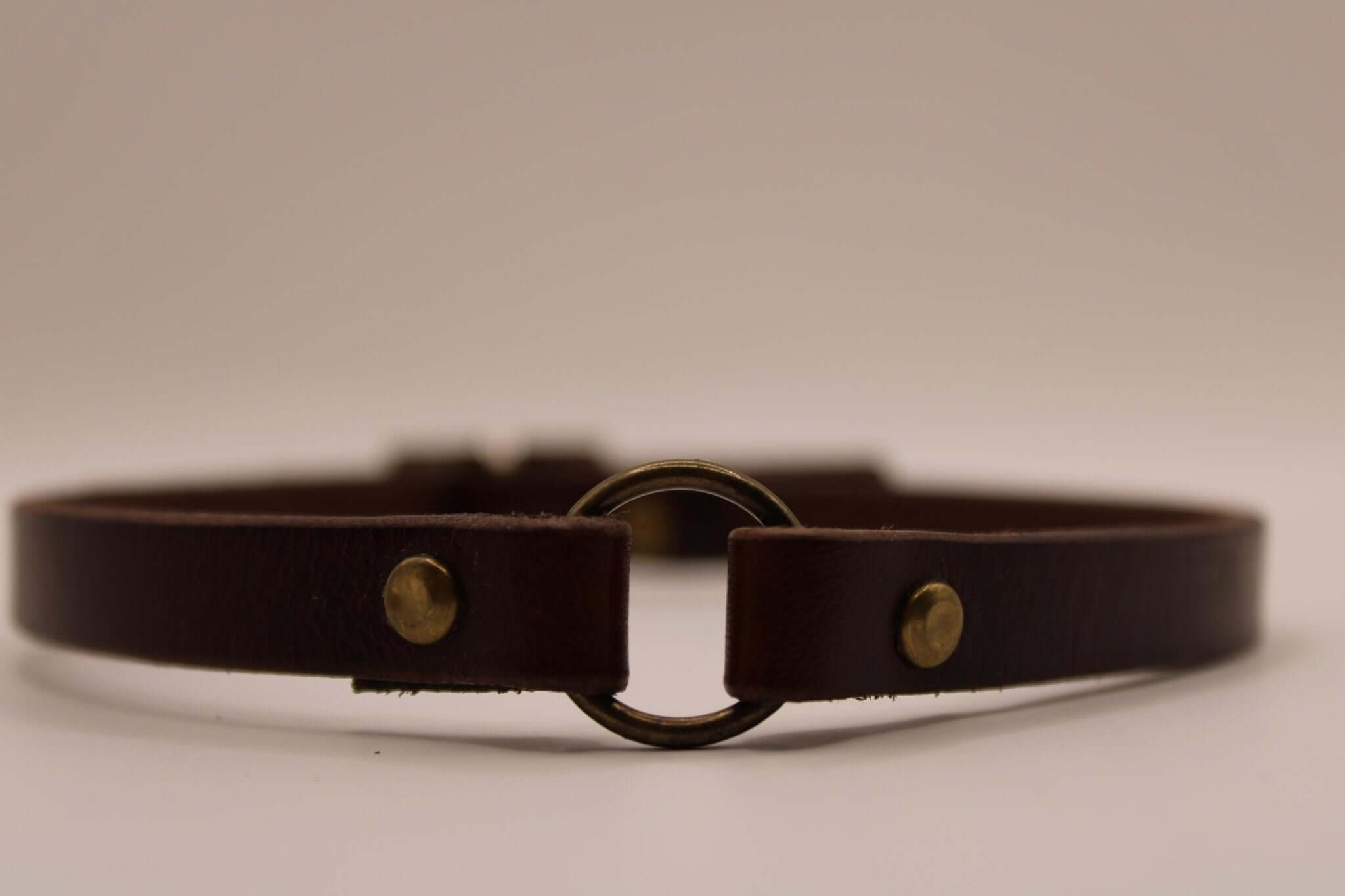 Handcrafted leather O-ring choker, perfect for alternative fashion and BDSM, featuring subtle brass studs.