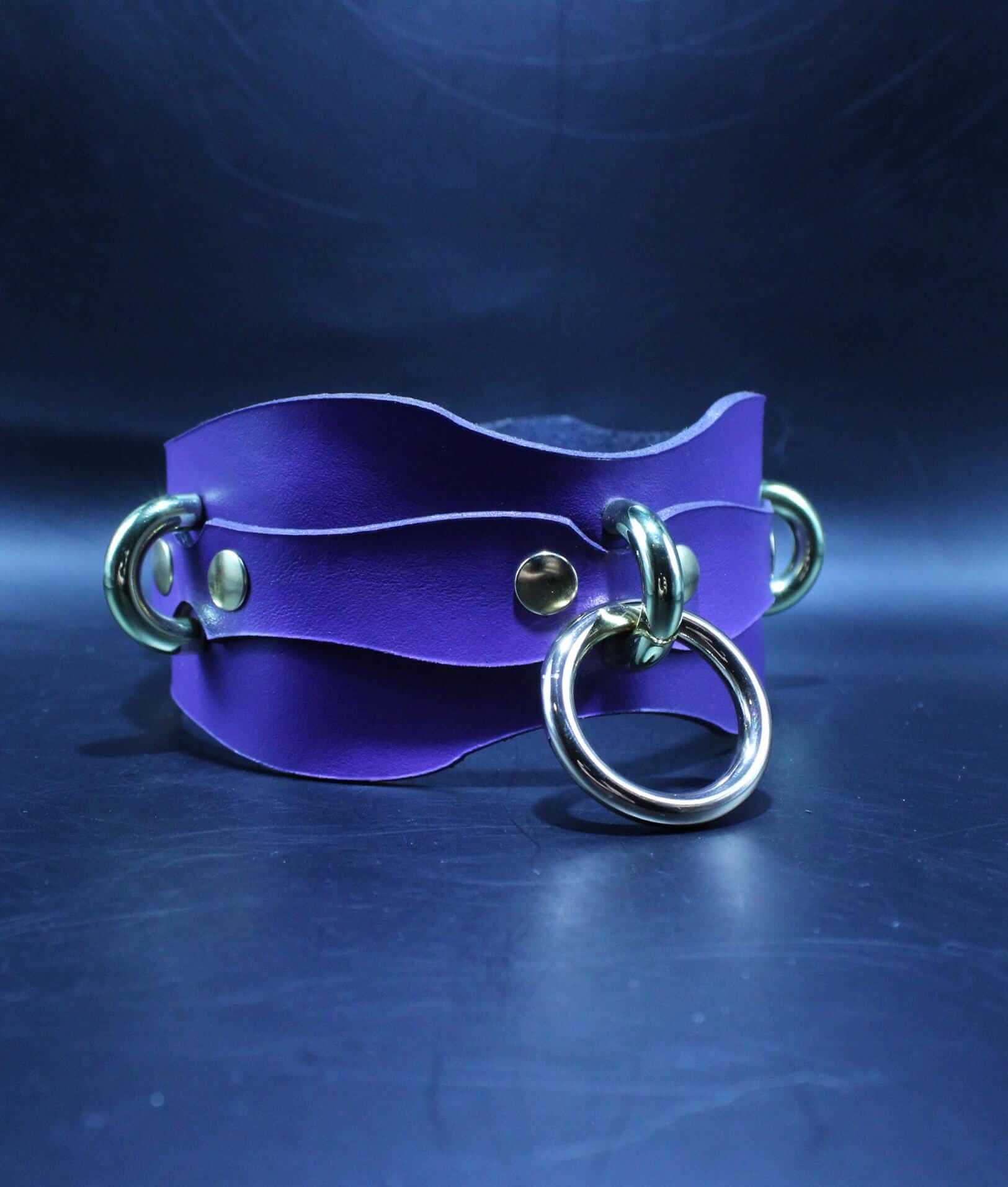 Elegant purple leather BDSM collar with metal rings, perfect for sub collar discreet and bondage accessories.
