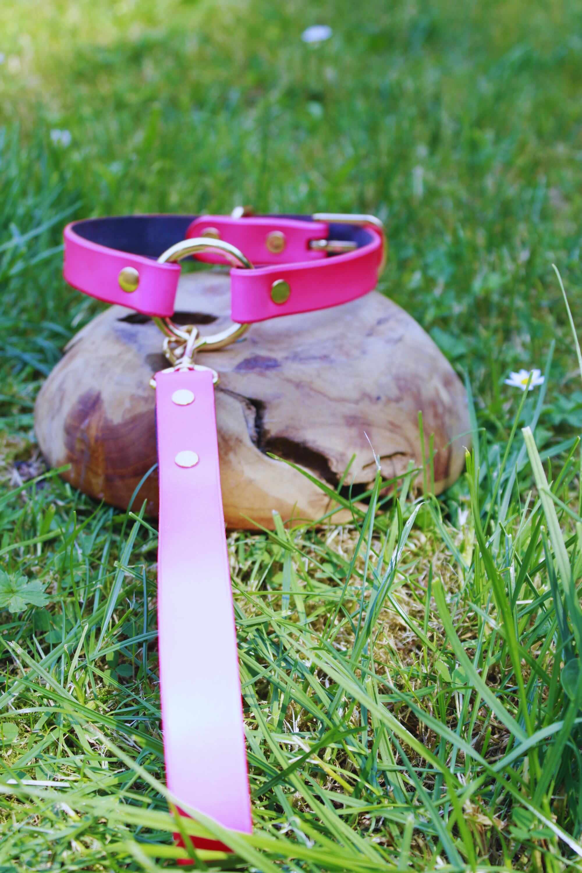 Neon pink BDSM collar on grass featuring gold-tone hardware, perfect for submissive jewelry and discreet day collar style.