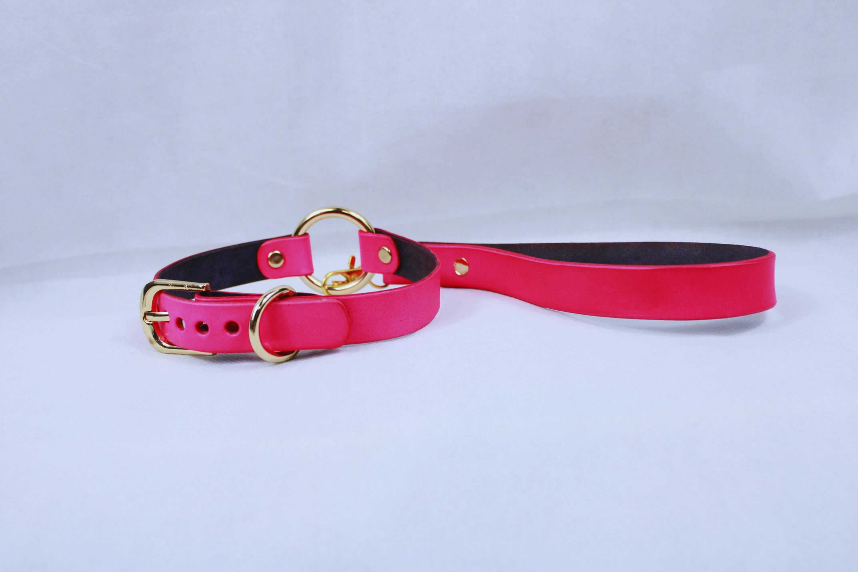 Bdsm collar in Rio Red with gold hardware, perfect for submissive play and discreet daily wear.
