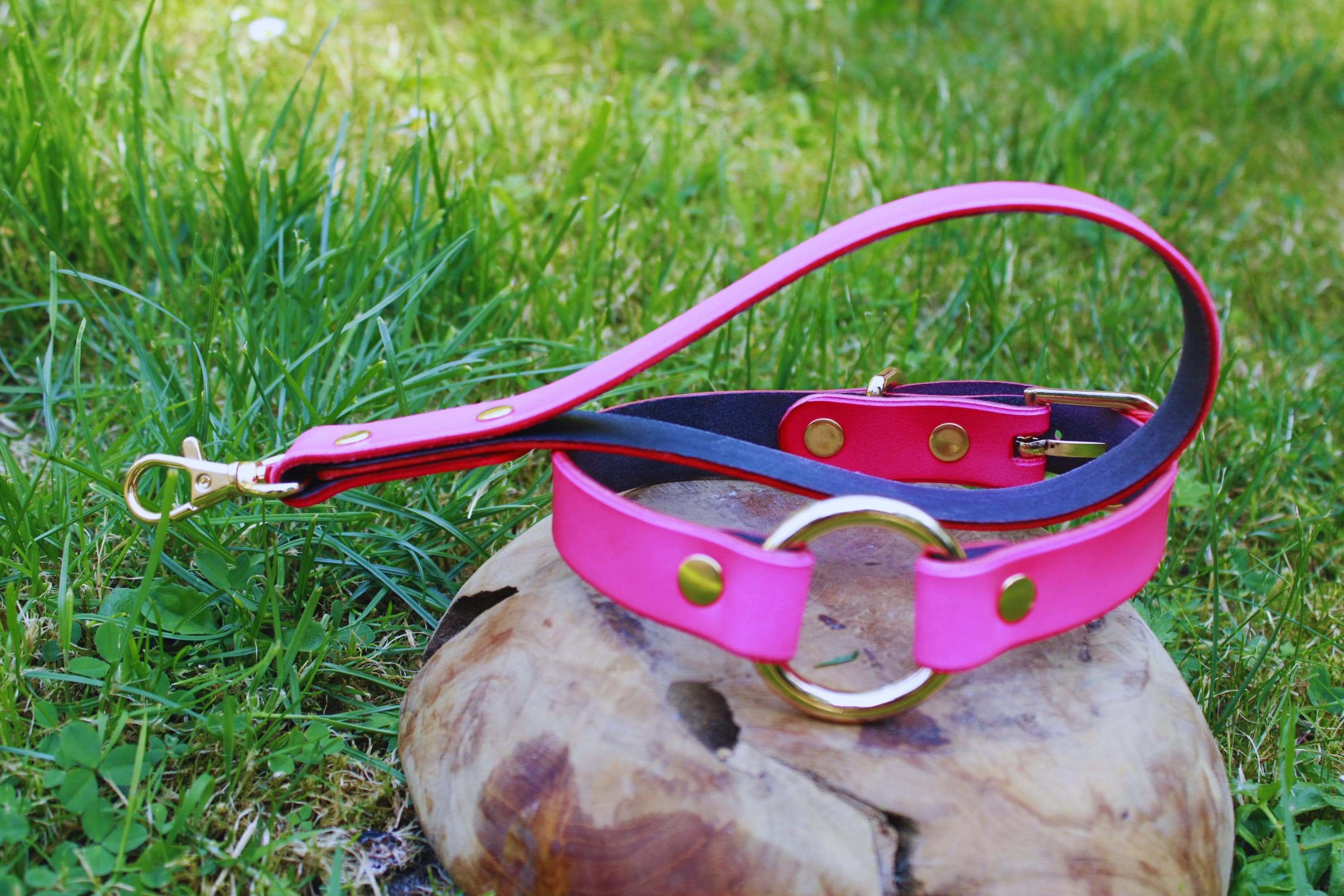 Neon pink BDSM collar with gold-tone hardware on grass, perfect as a submissive necklace or discreet day collar for bondage.