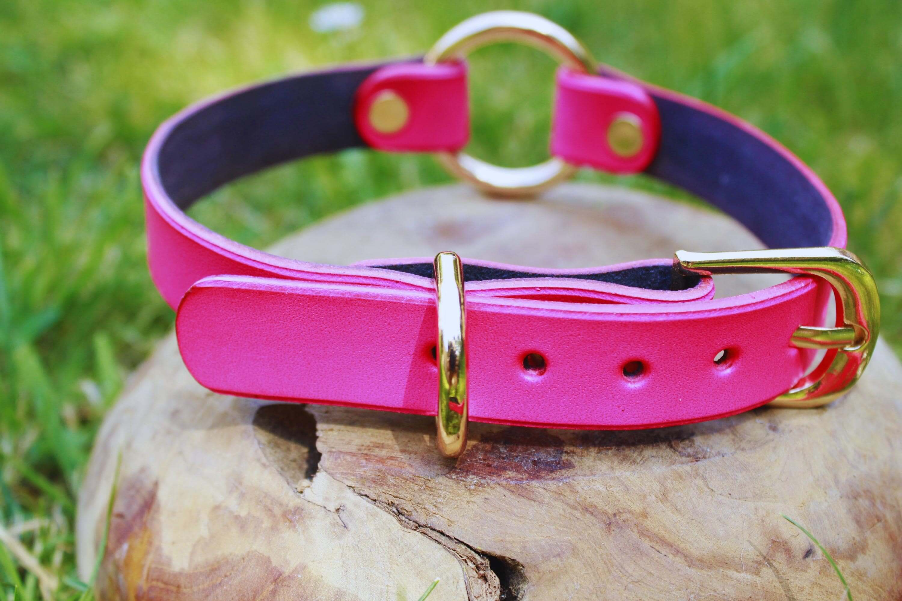 Neon pink BDSM collar with gold-tone hardware, perfect as a submissive jewelry accessory or discreet day collar.