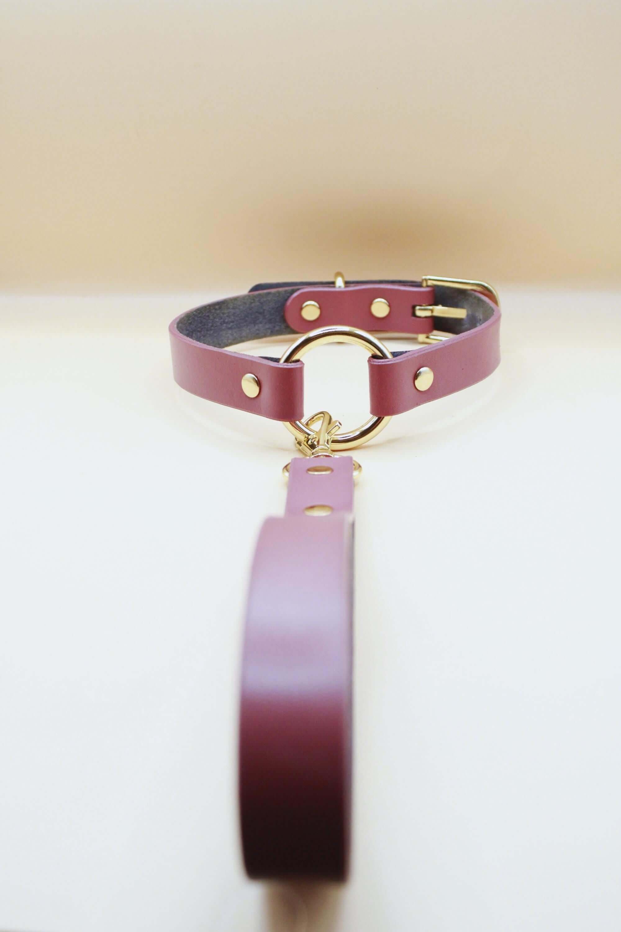 Discreet day collar leather choker with gold ring, perfect for BDSM, submissive jewelry, or bondage gear.