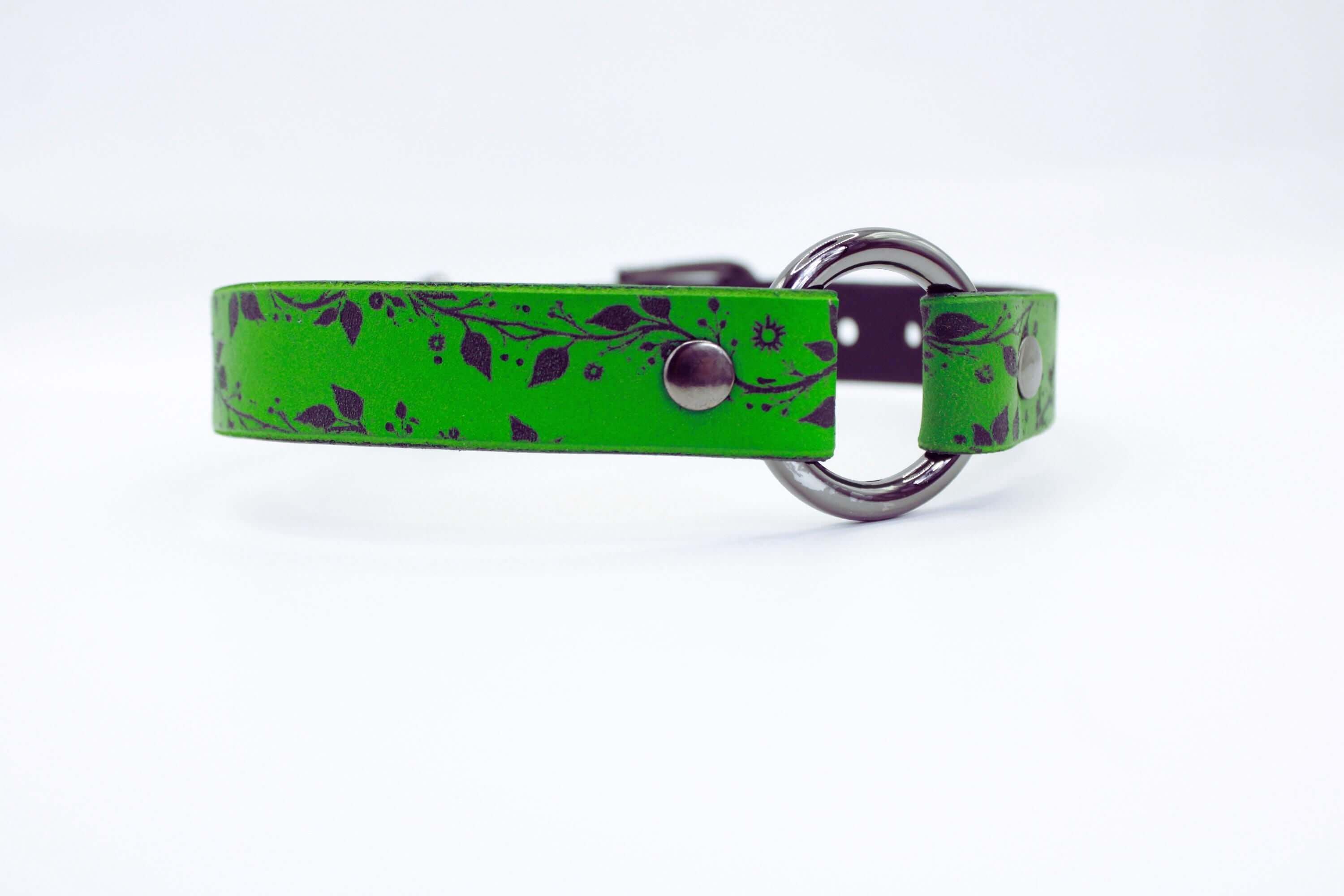 A green leather collar with a silver metal buckle and a circular metal ring.