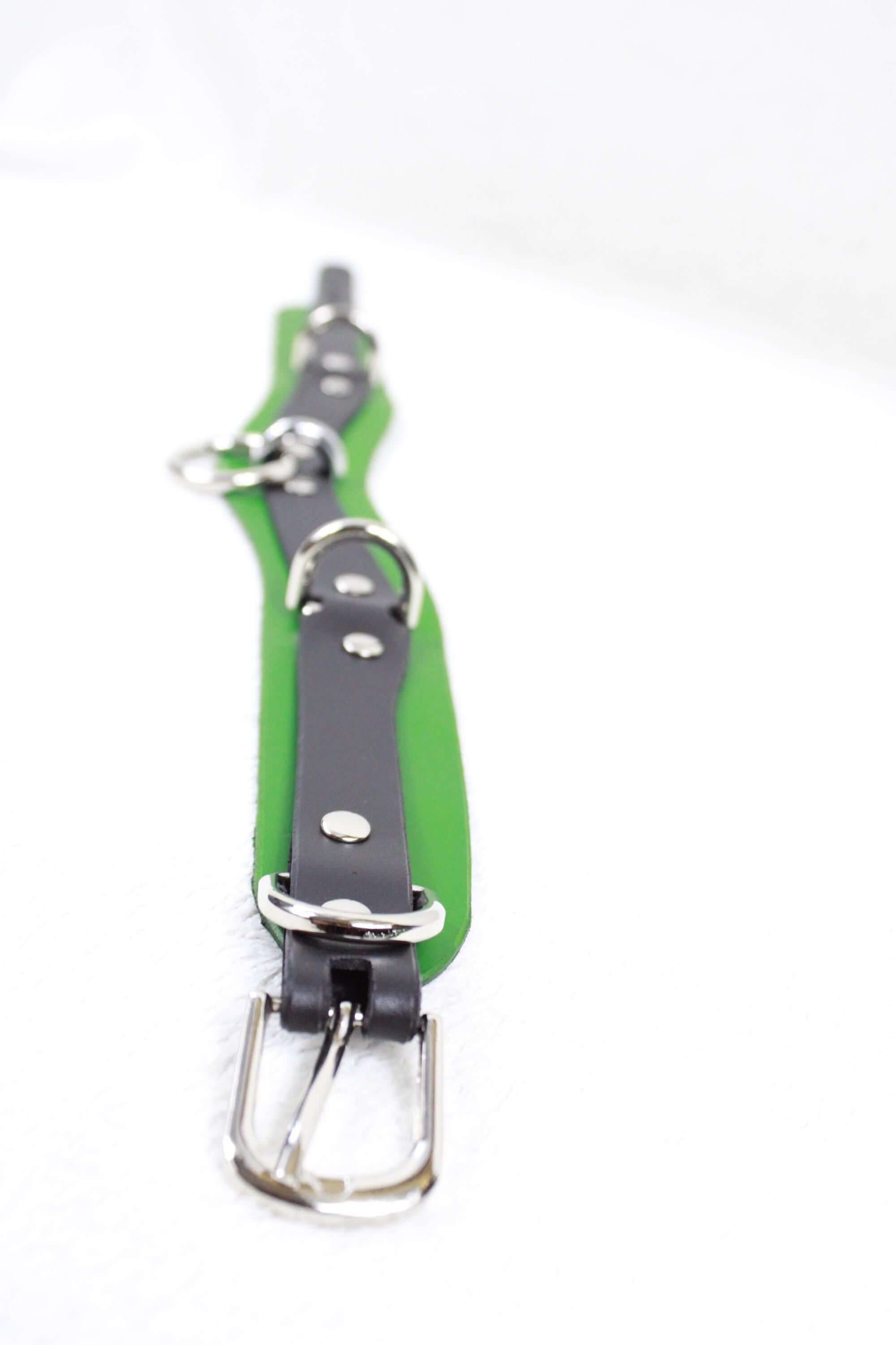 A green and black leather strap with silver buckles and a silver buckle is shown against a white background.