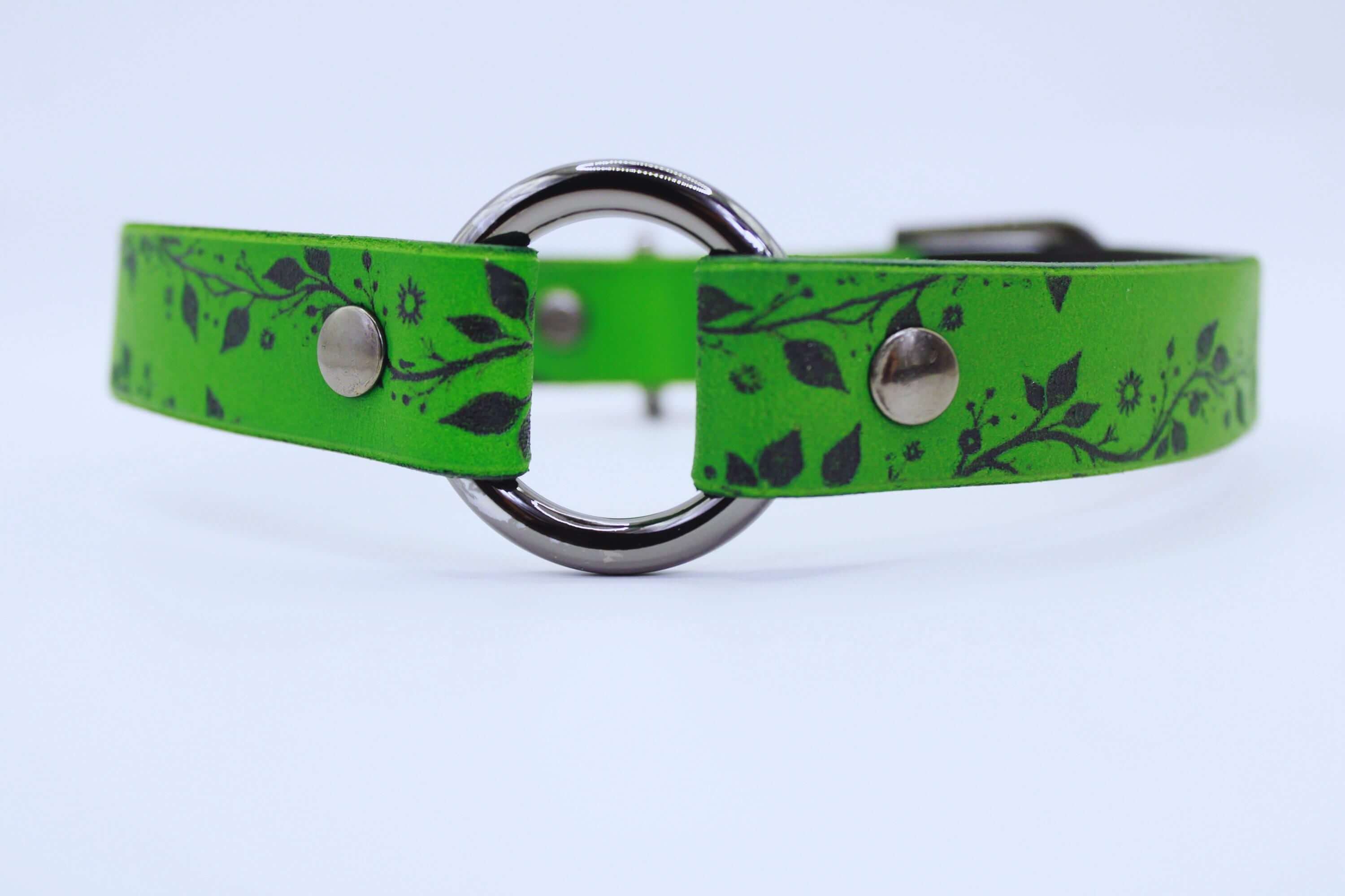 A green leather collar with a silver metal ring and leaf-like designs on it.