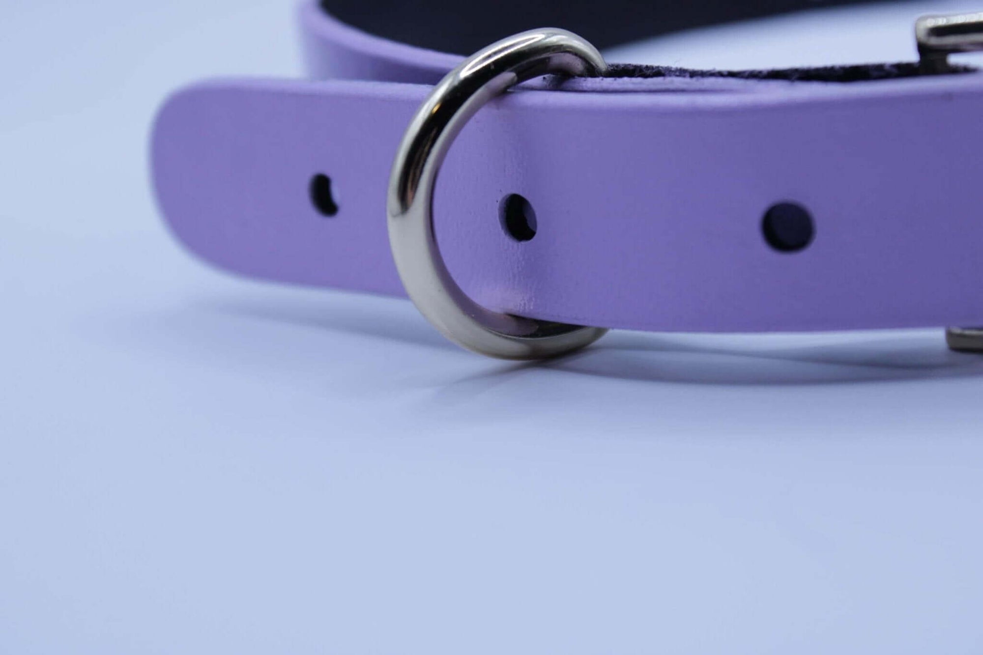 Lilac BDSM collar with gold O-ring, perfect for submissive jewelry and discreet day collar use.