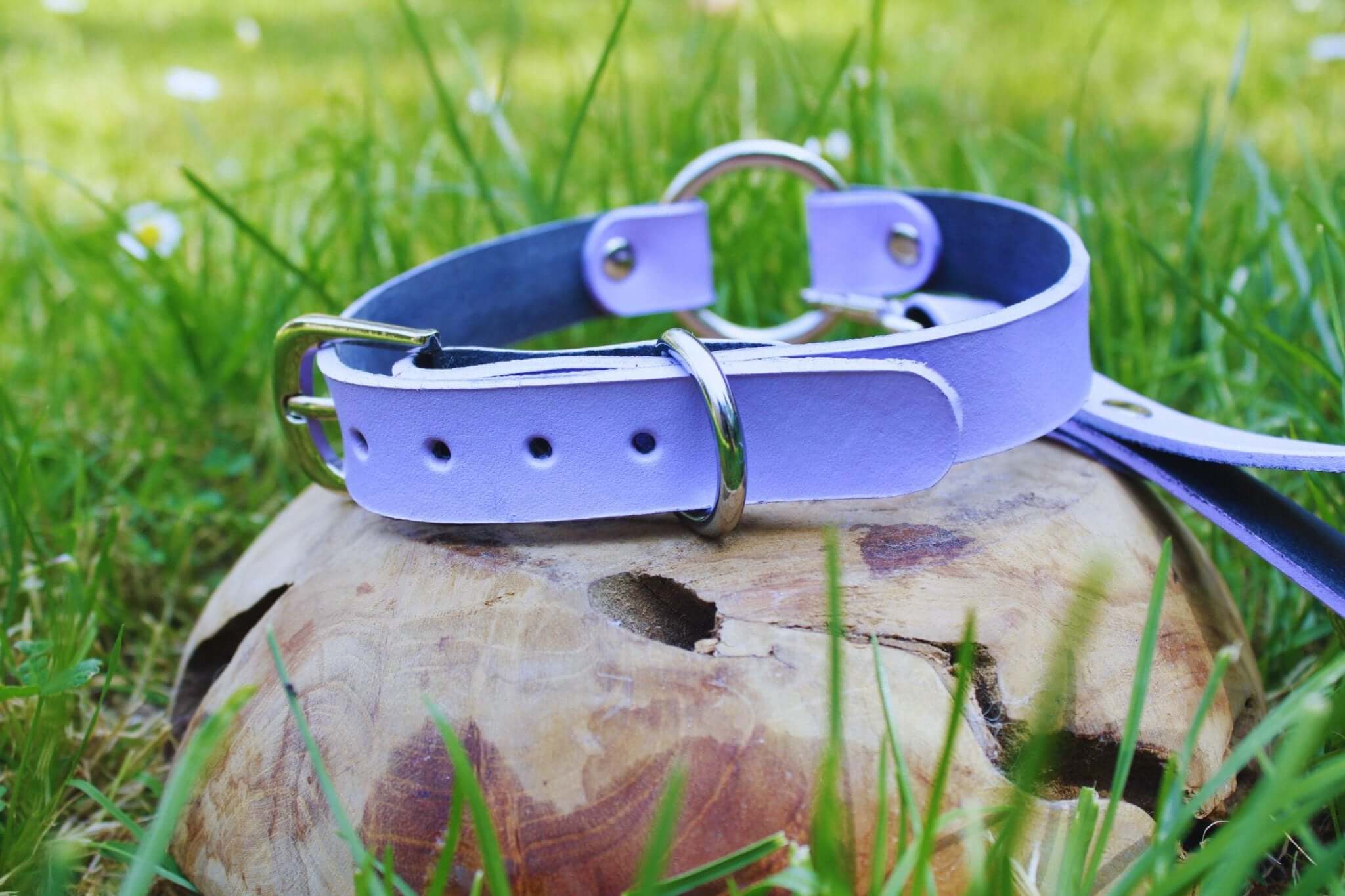 Lilac leather choker collar on wooden surface, perfect for discreet submission and everyday BDSM jewelry.