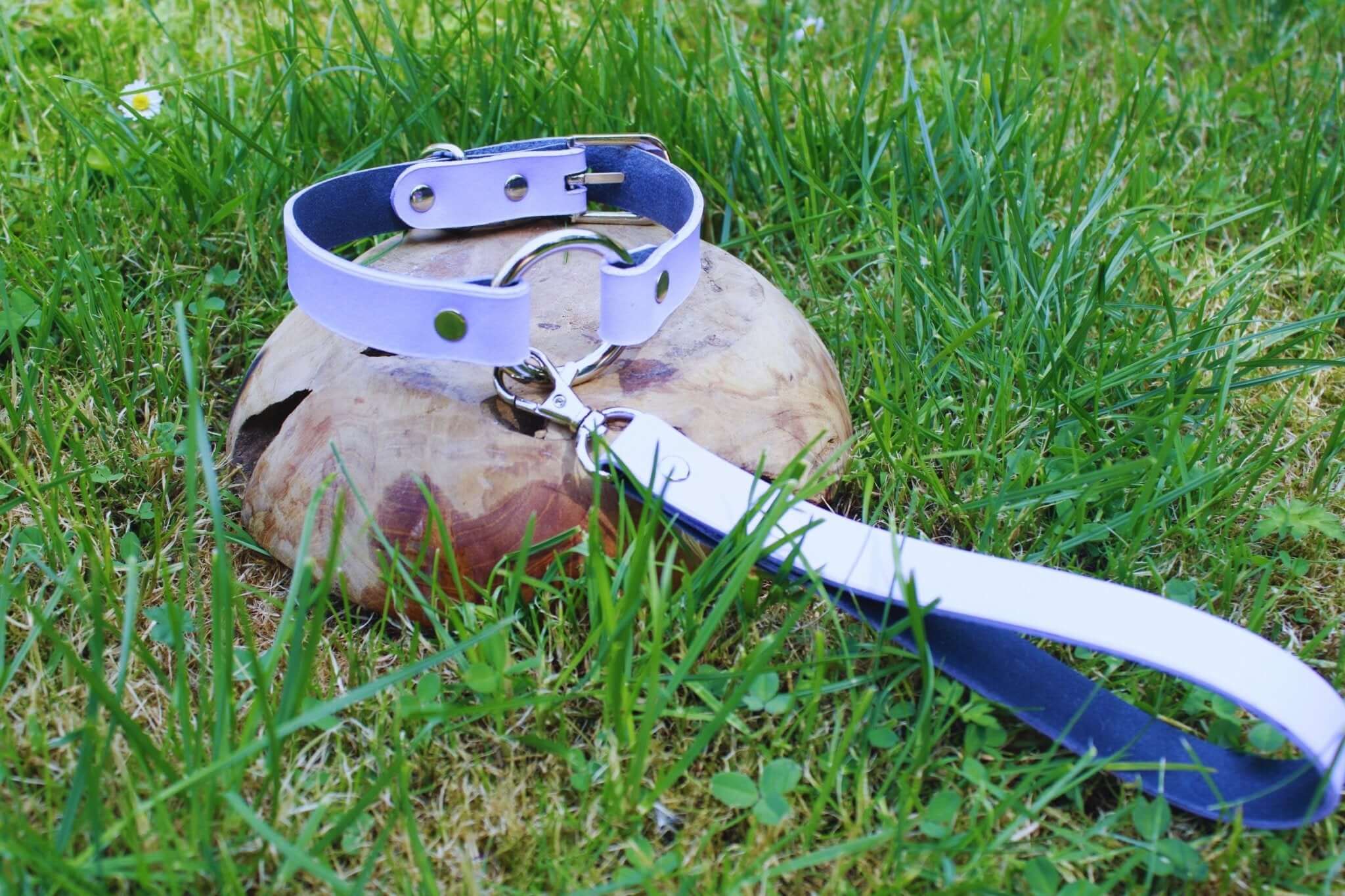 Lilac leather BDSM collar and leash on grass, perfect for discreet day wear and submissive jewelry.