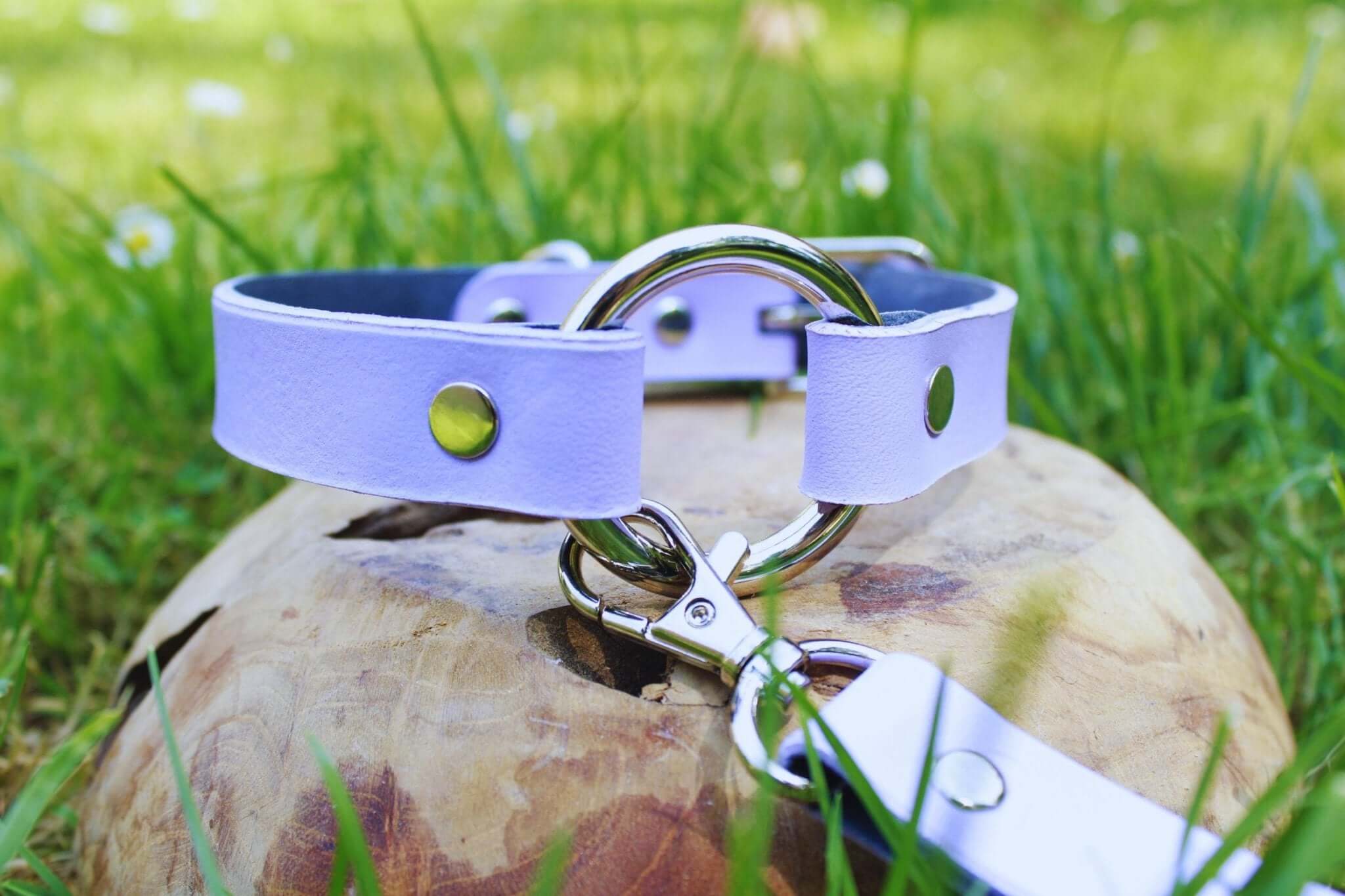 Lilac leather submissive collar on grass, elegant discreet collar for everyday wear and bondage fashion.