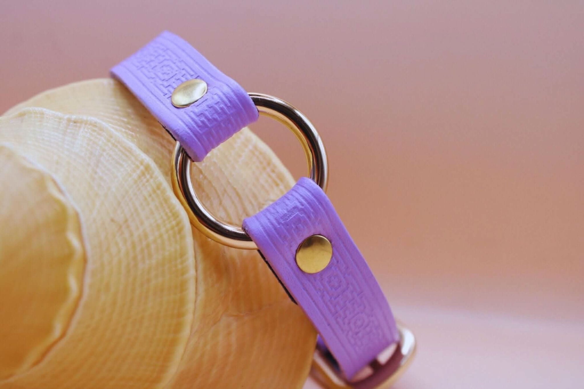 Lilac submissive collar featuring gold-toned hardware, perfect for discreet BDSM and D/s gifts.