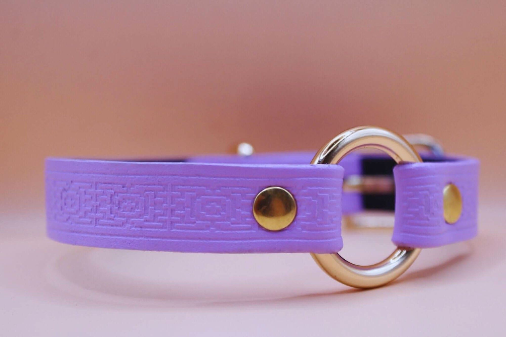 Lilac leather submissive collar with embossed pattern and gold hardware, perfect for BDSM day wear and gifts.
