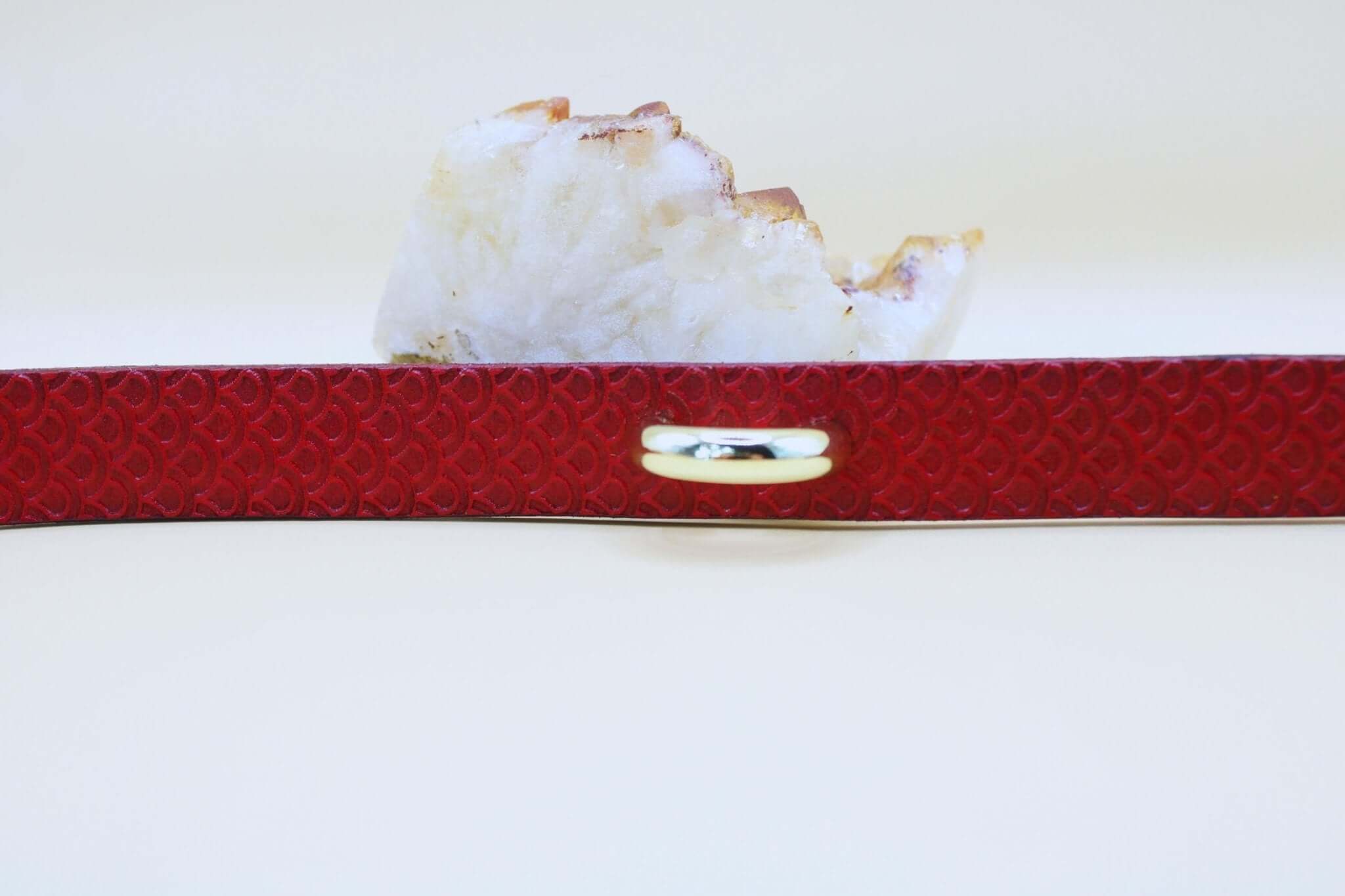 Elegant red leather BDSM collar with silver accent, perfect for submissive jewelry and discreet day collar use.