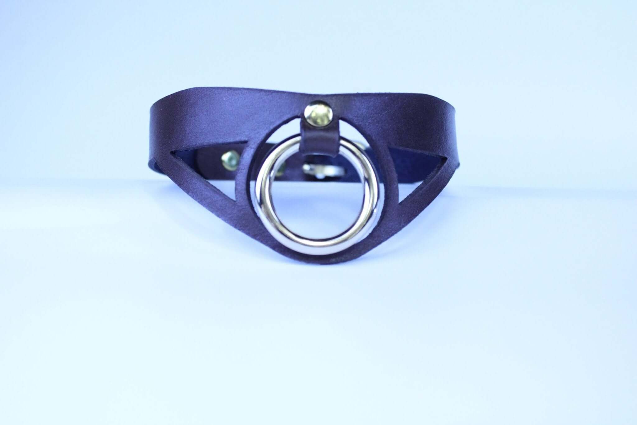 Sleek leather BDSM collar with bold O-ring, perfect for submissive jewelry and posture collar for bondage play.