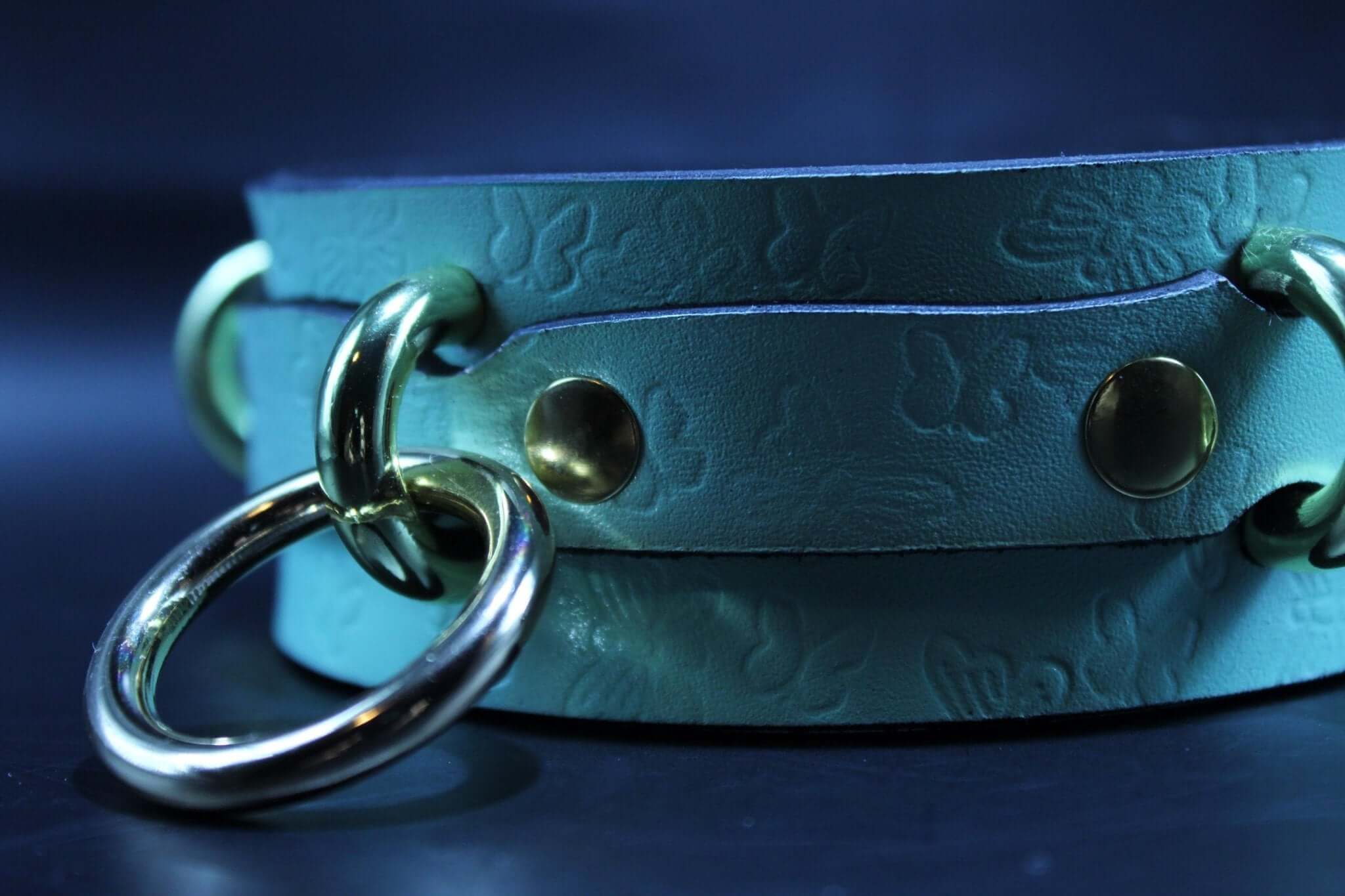 Mint green butterfly embossed submissive collar, perfect for BDSM play and discreet day wear, featuring gold hardware.