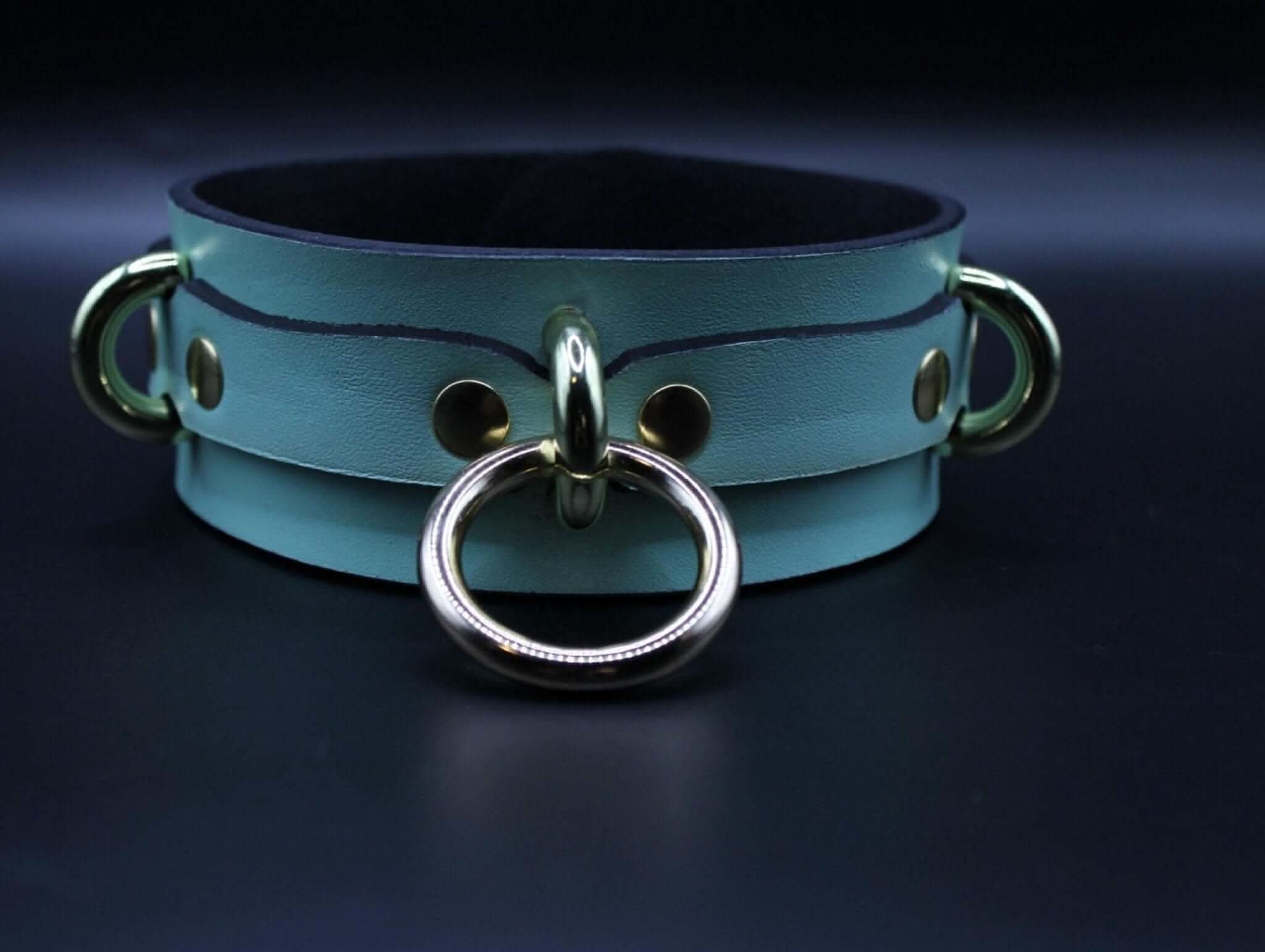 Mint green posture collar with gold O-ring, perfect for BDSM, submissive jewelry, and bondage gear.