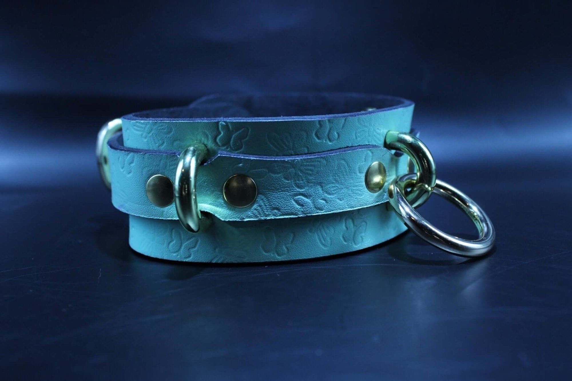 Mint green butterfly embossed submissive collar for BDSM play, perfect for discreet day wear and erotic expression.
