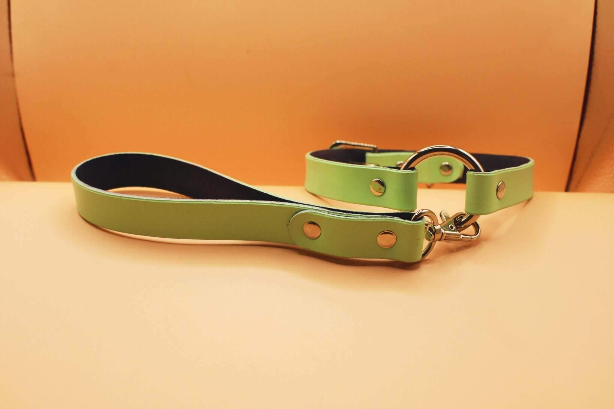 Mint green submissive collar with matching leash, ideal for discreet day wear and BDSM play, crafted for comfort and style.
