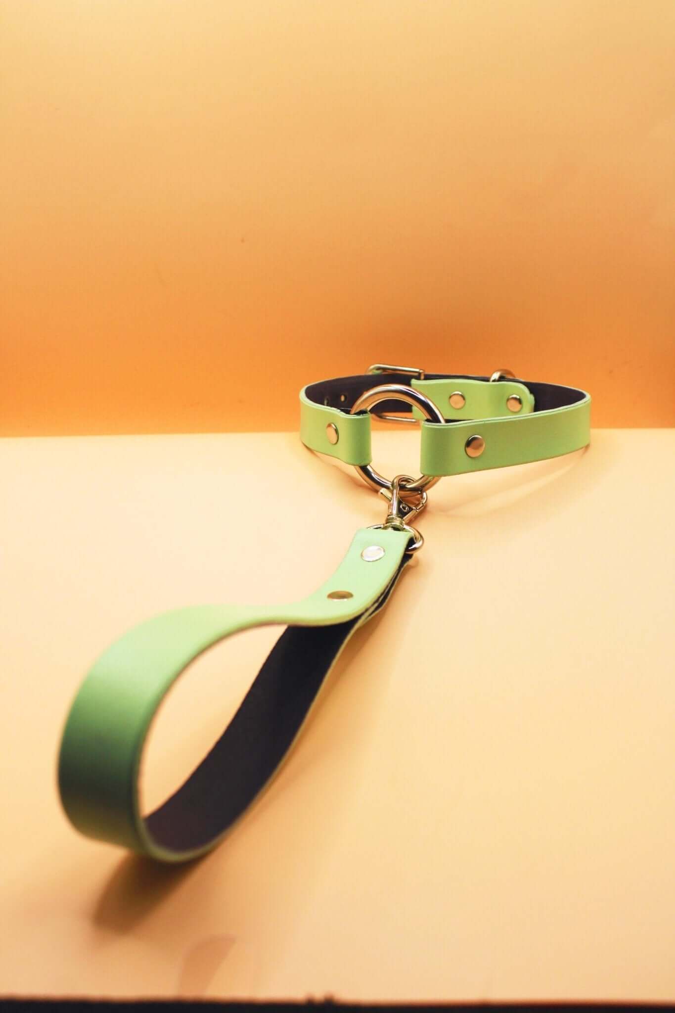 Mint green submissive collar and leash set, perfect for discreet day wear and BDSM play, crafted from high-quality materials.