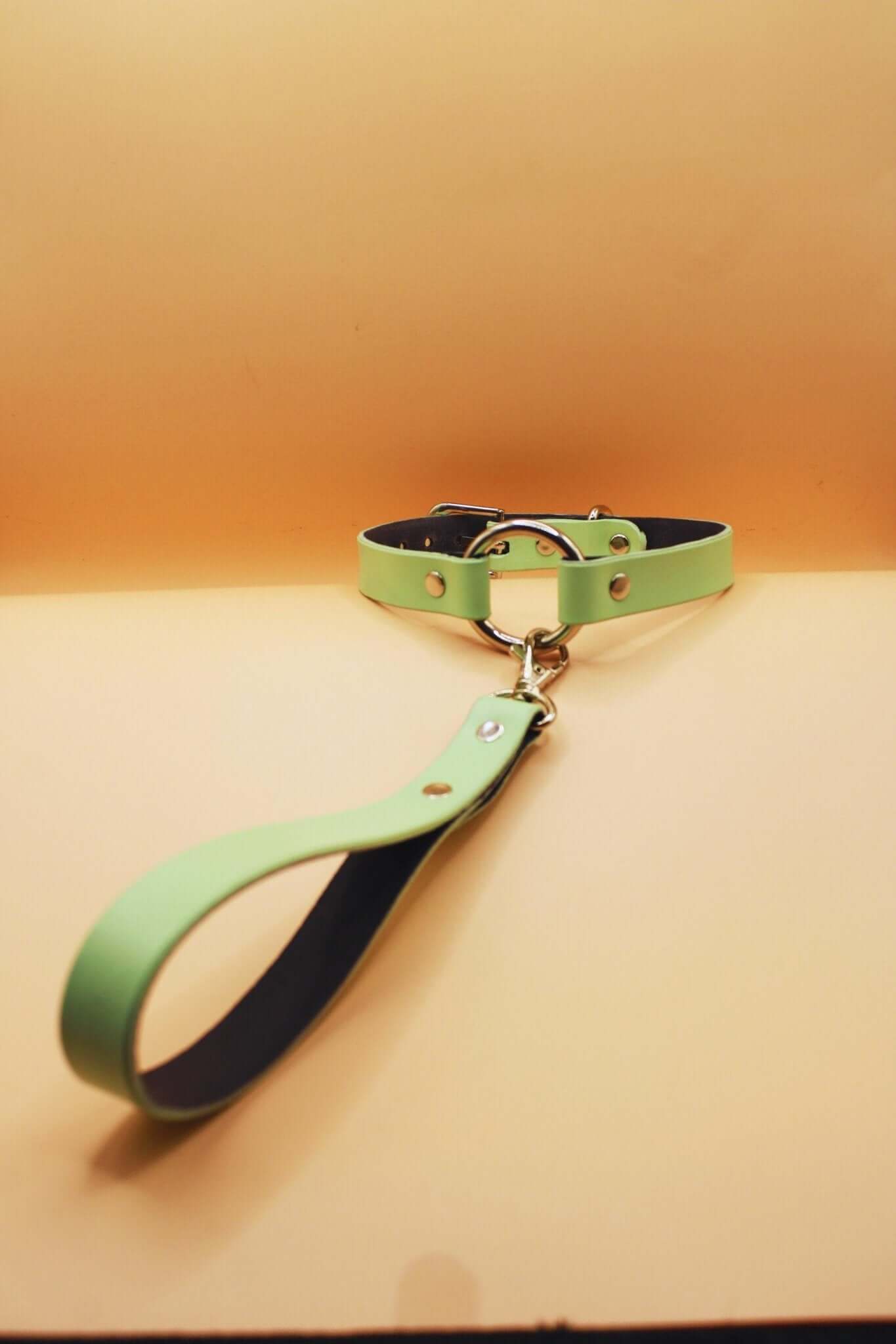 Mint green submissive collar with leash, perfect for discreet day wear and bdsm play.