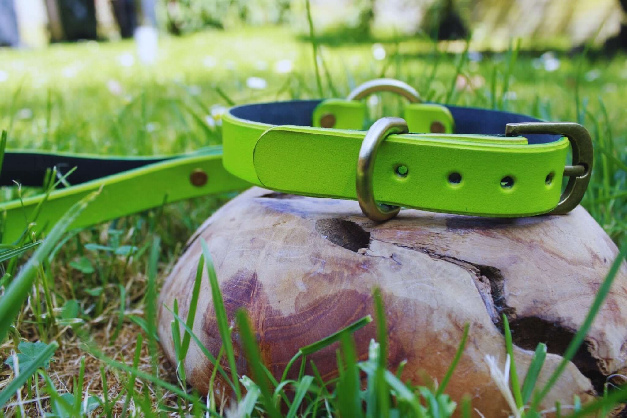 Neon green BDSM collar with leash on wooden surface, perfect for discreet play and submissive jewelry.