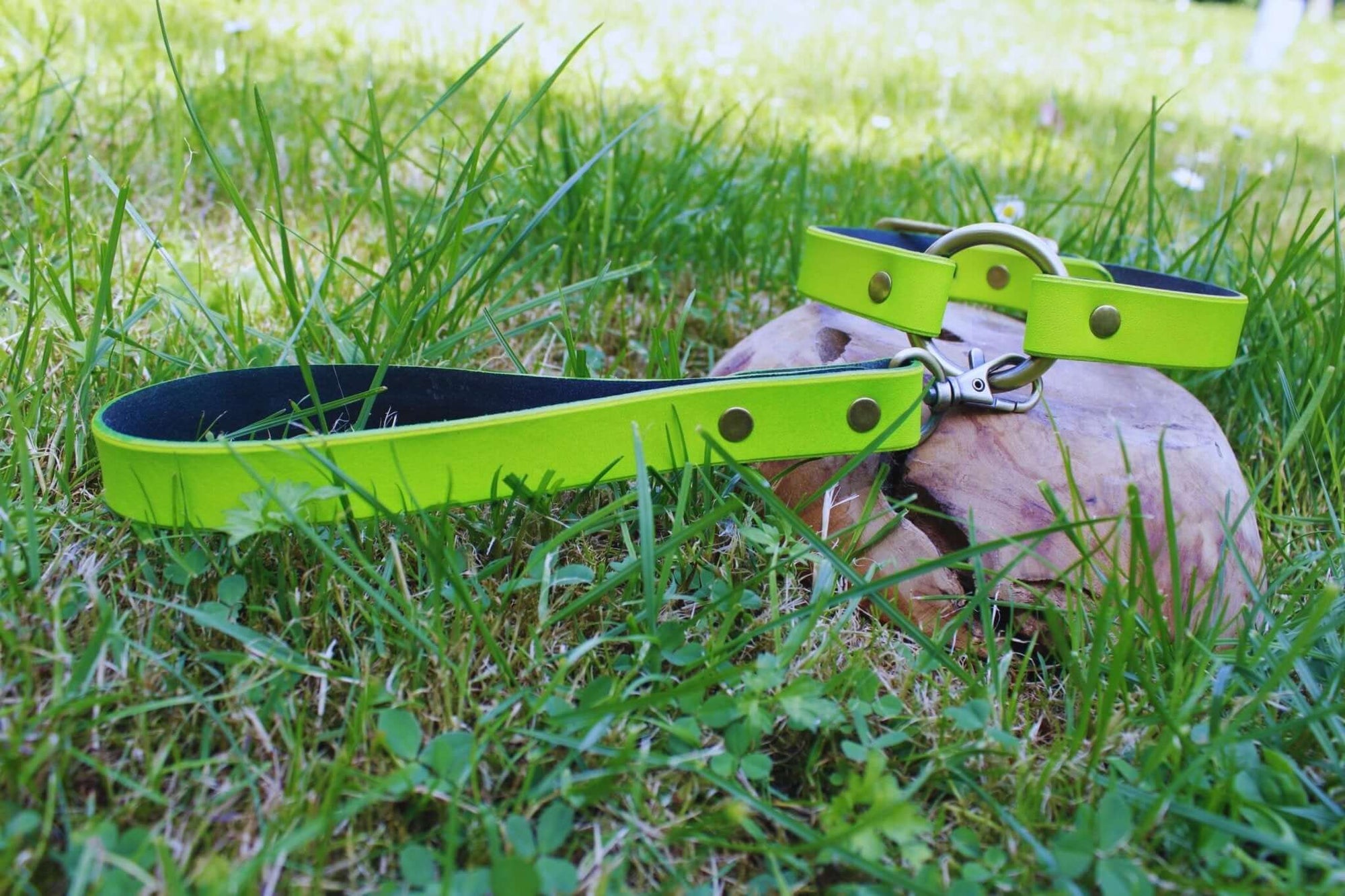 Neon green BDSM collar and leash set on grass, perfect for submissive play and stylish bondage gear.