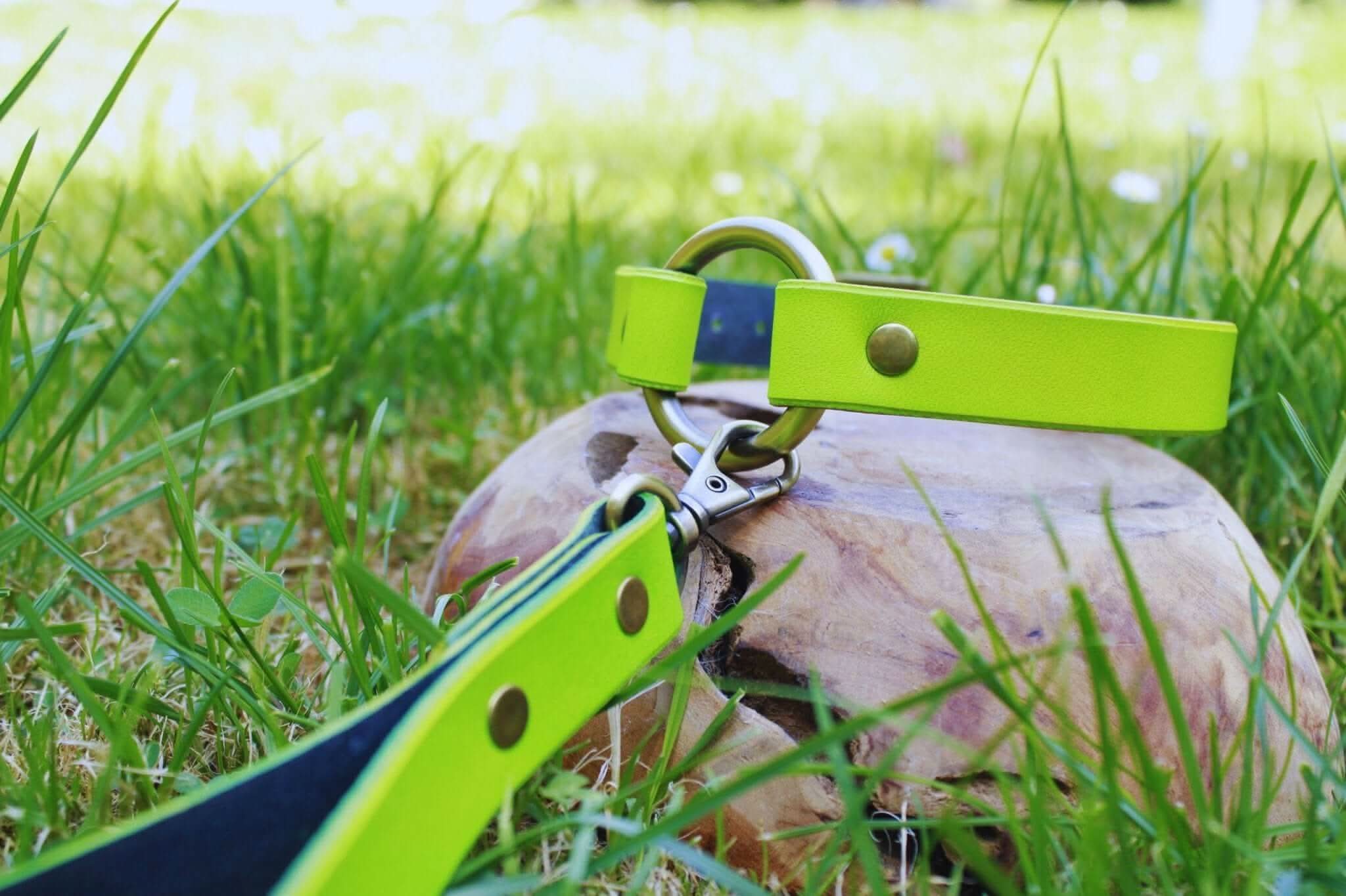 Neon green BDSM collar and leash set on grass, perfect for submissive play and discreet day wear.