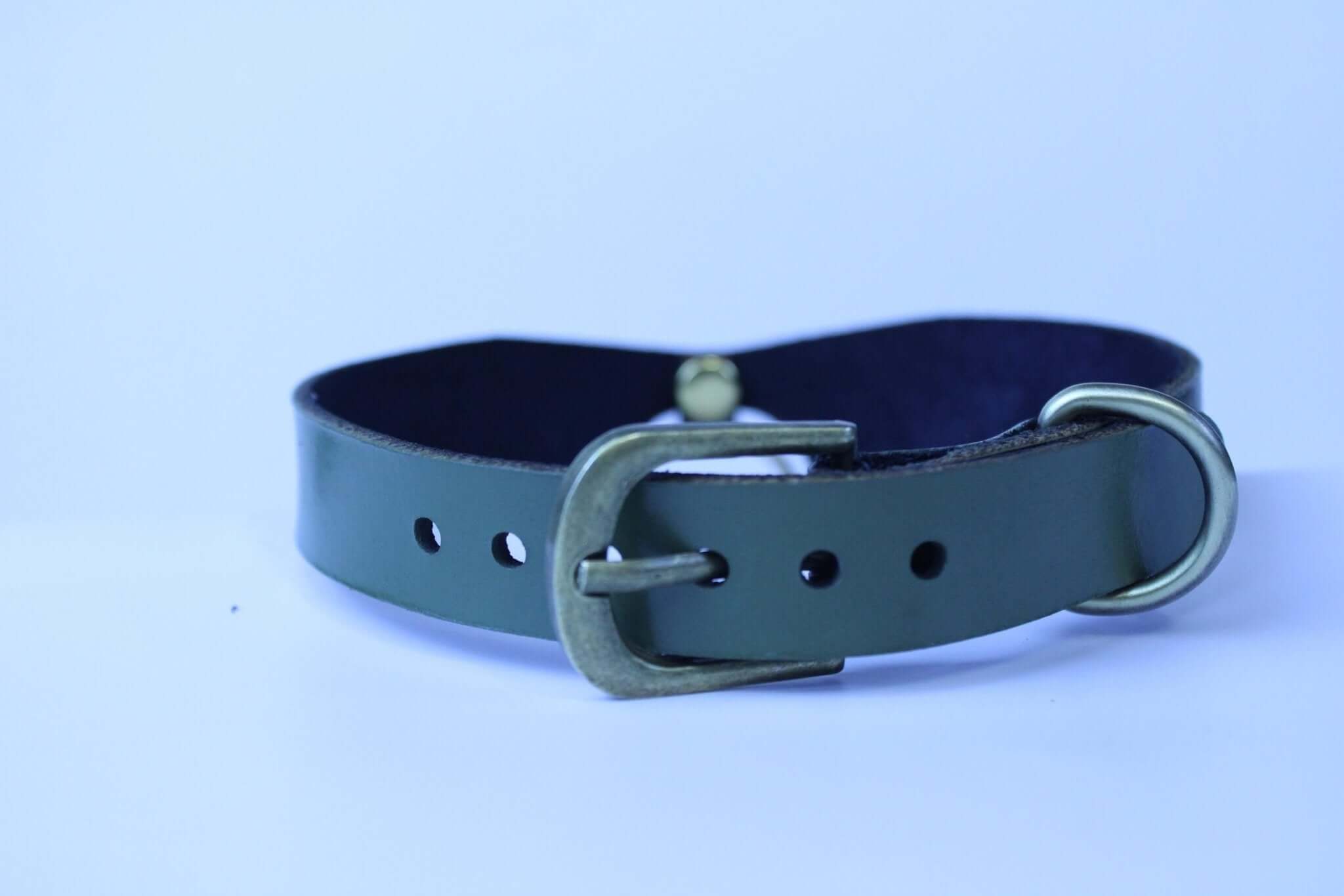 Olive green posture collar with an O-ring, perfect for submissive jewelry and BDSM day collar use.