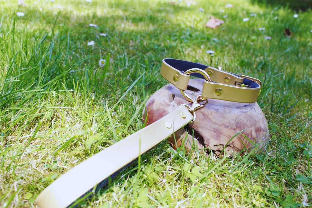 Elegant pearl gold submissive collar on grass, perfect discreet day collar for bondage and BDSM fashion.