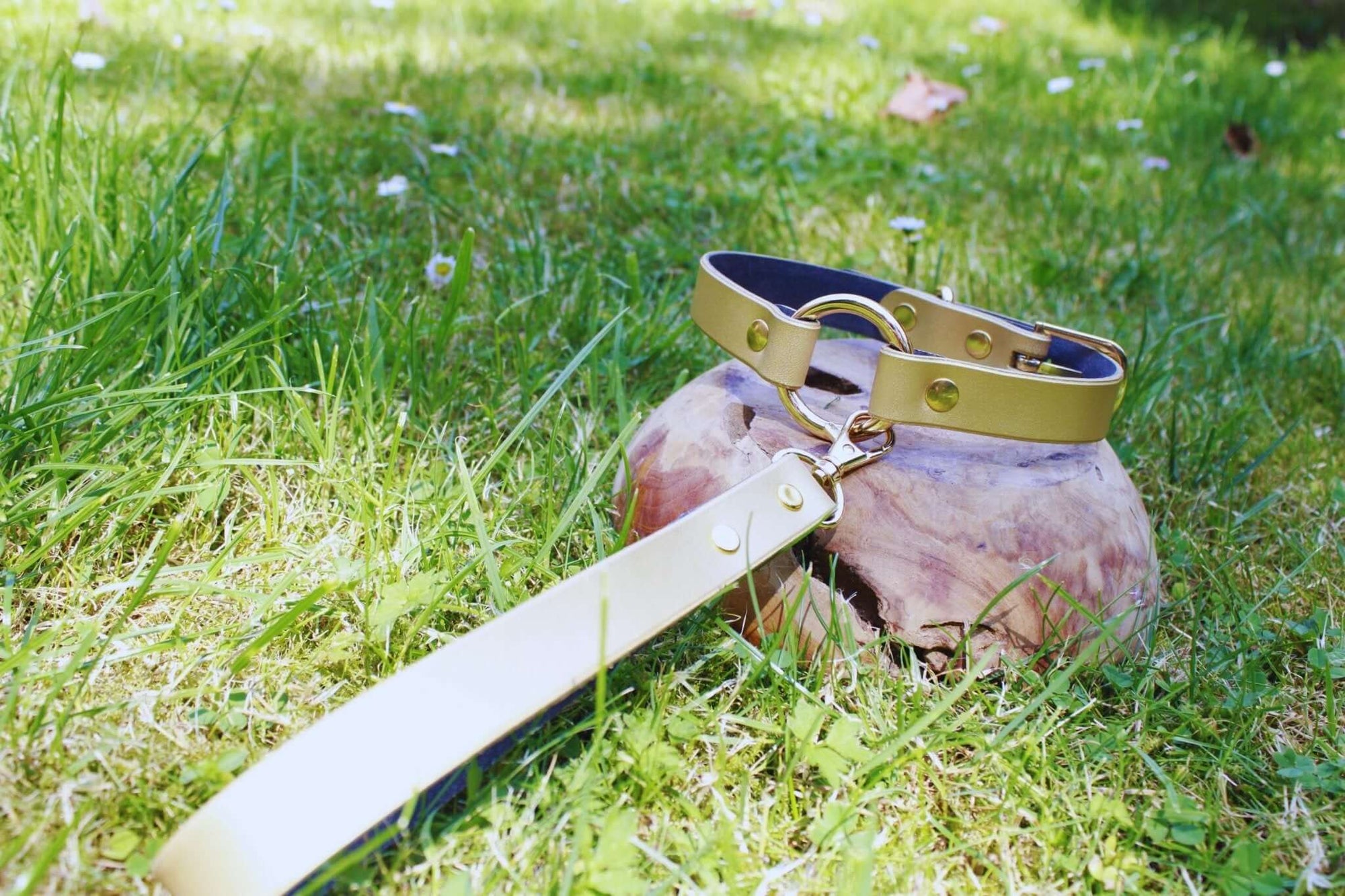 Elegant pearl gold submissive collar on grass, perfect discreet day collar for bondage and BDSM fashion.