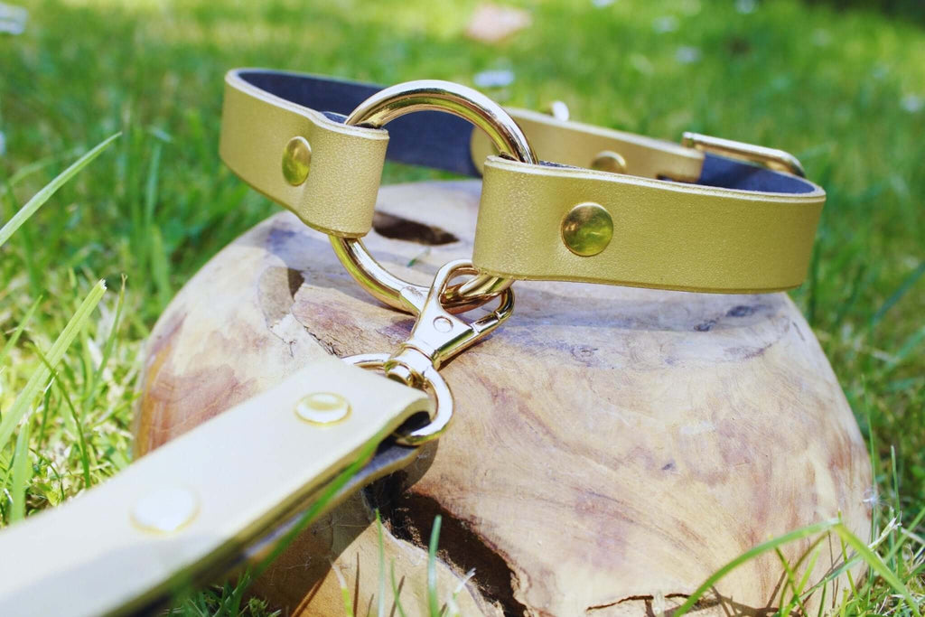 Elegant gold leather submissive collar with ring and clip, perfect for BDSM and discreet day wear.