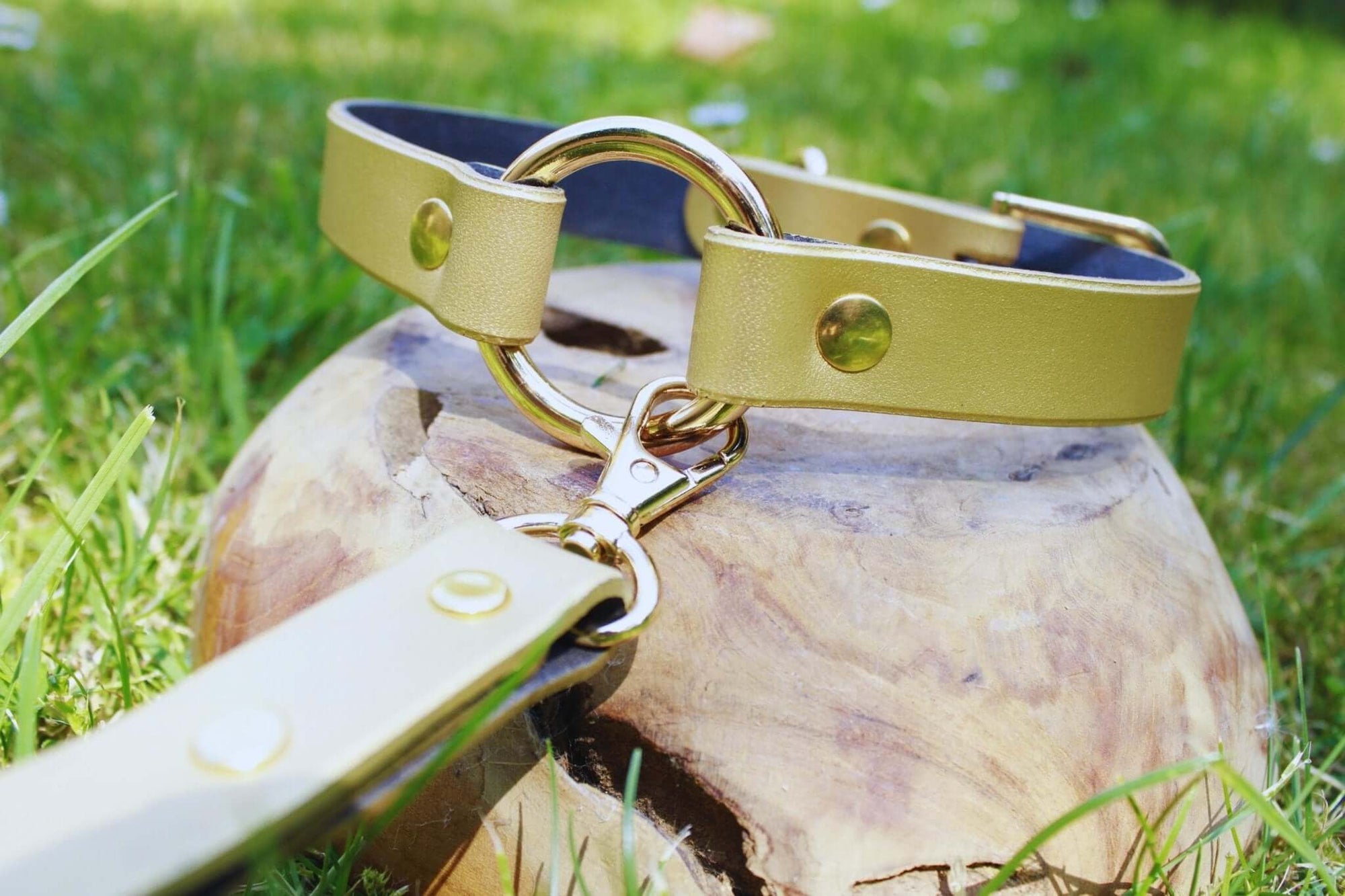 Elegant gold leather submissive collar with ring and clip, perfect for BDSM and discreet day wear.