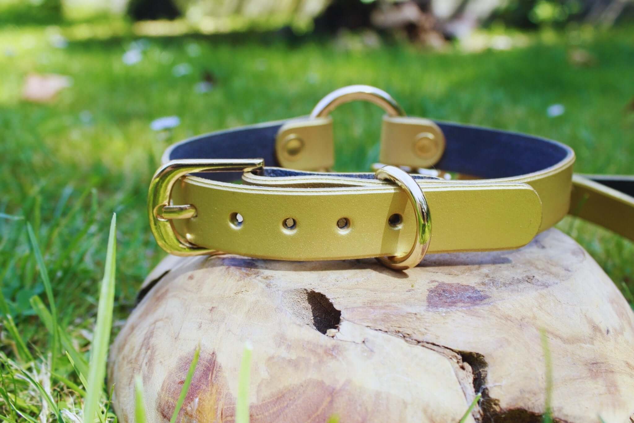 Elegant pearl gold submissive collar on wood, discreet day collar for BDSM and fashion, perfect for intimate wear.