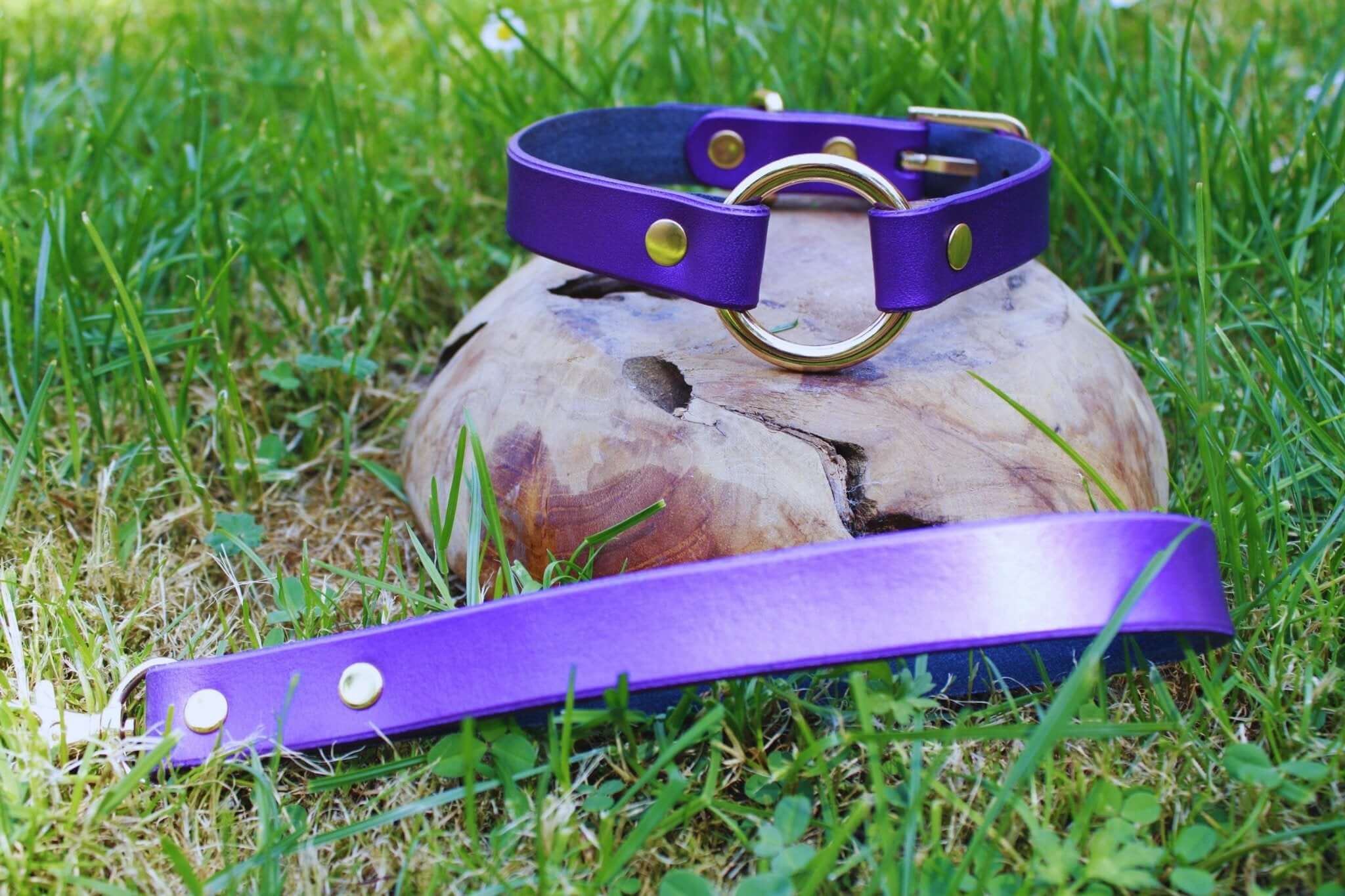 Purple leather submissive collar with gold hardware, perfect for BDSM and as a discreet day collar.