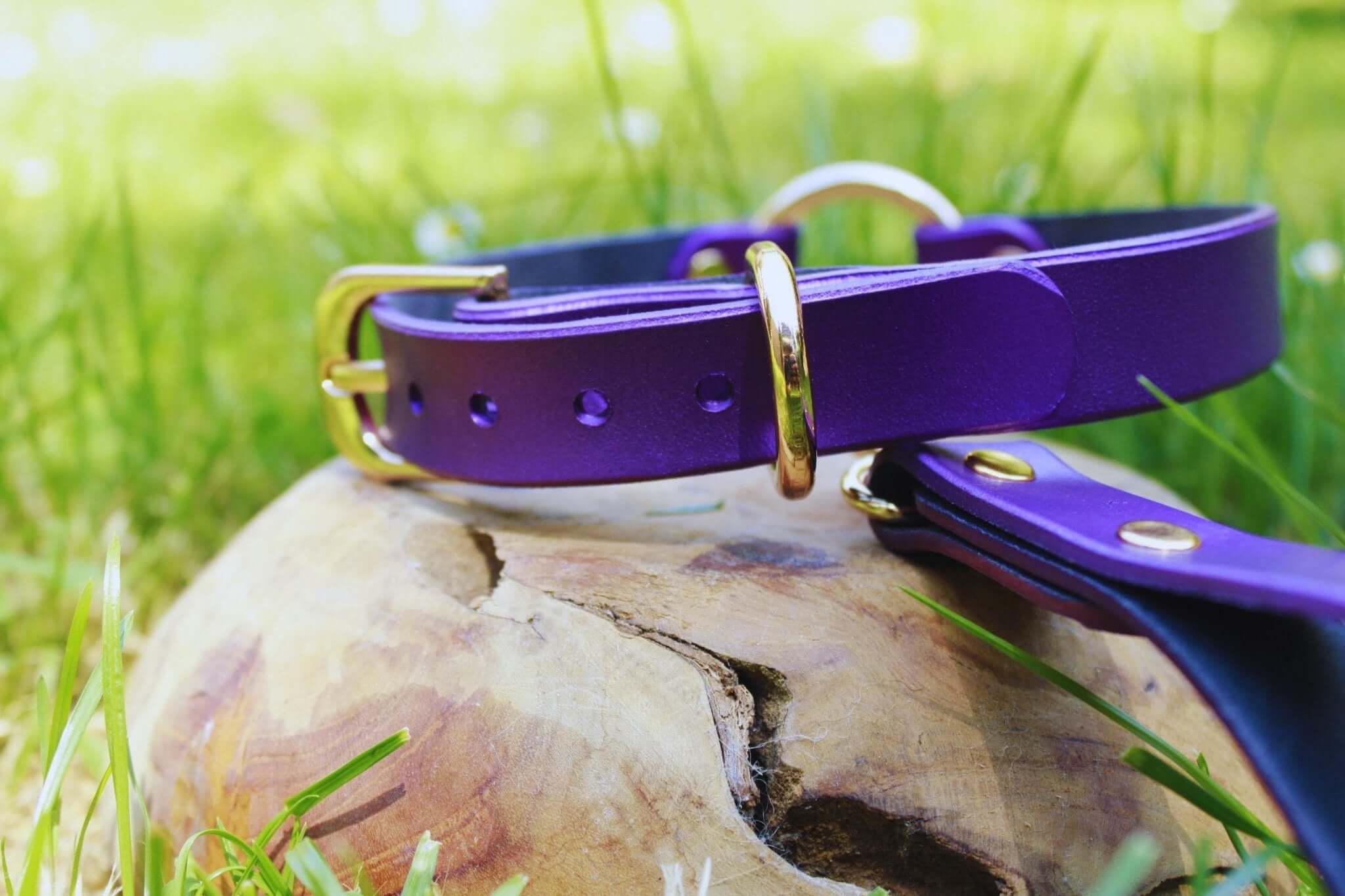 Elegant purple leather choker collar, perfect for BDSM, submissive jewelry, and discreet day wear.