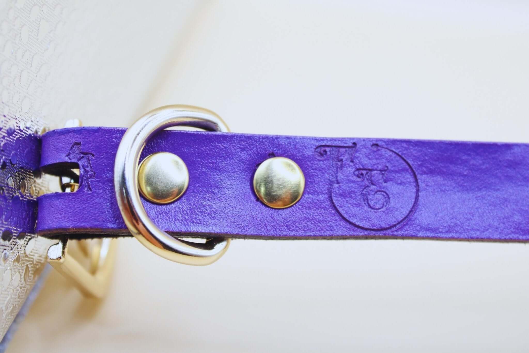 Close-up of a purple leather BDSM collar strap with gold hardware, showcasing elegance and strength in submissive jewelry.