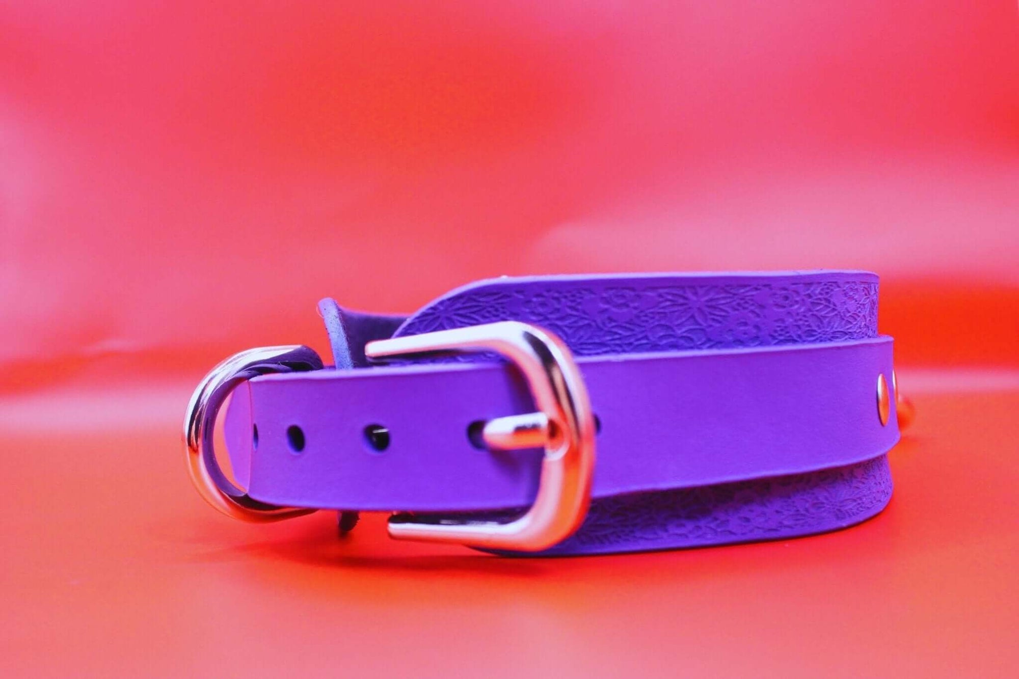 Purple floral embossed BDSM collar with silver buckle, perfect for submissive jewelry and bondage gear.