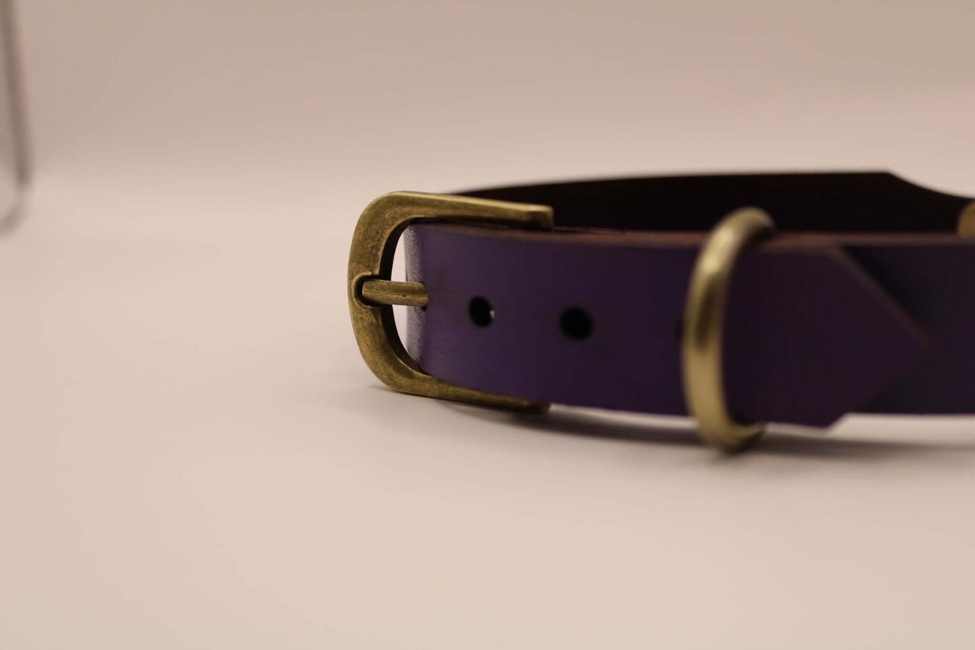 Close-up of a purple leather BDSM collar with a brass buckle, perfect for sub collar and bondage aesthetics.