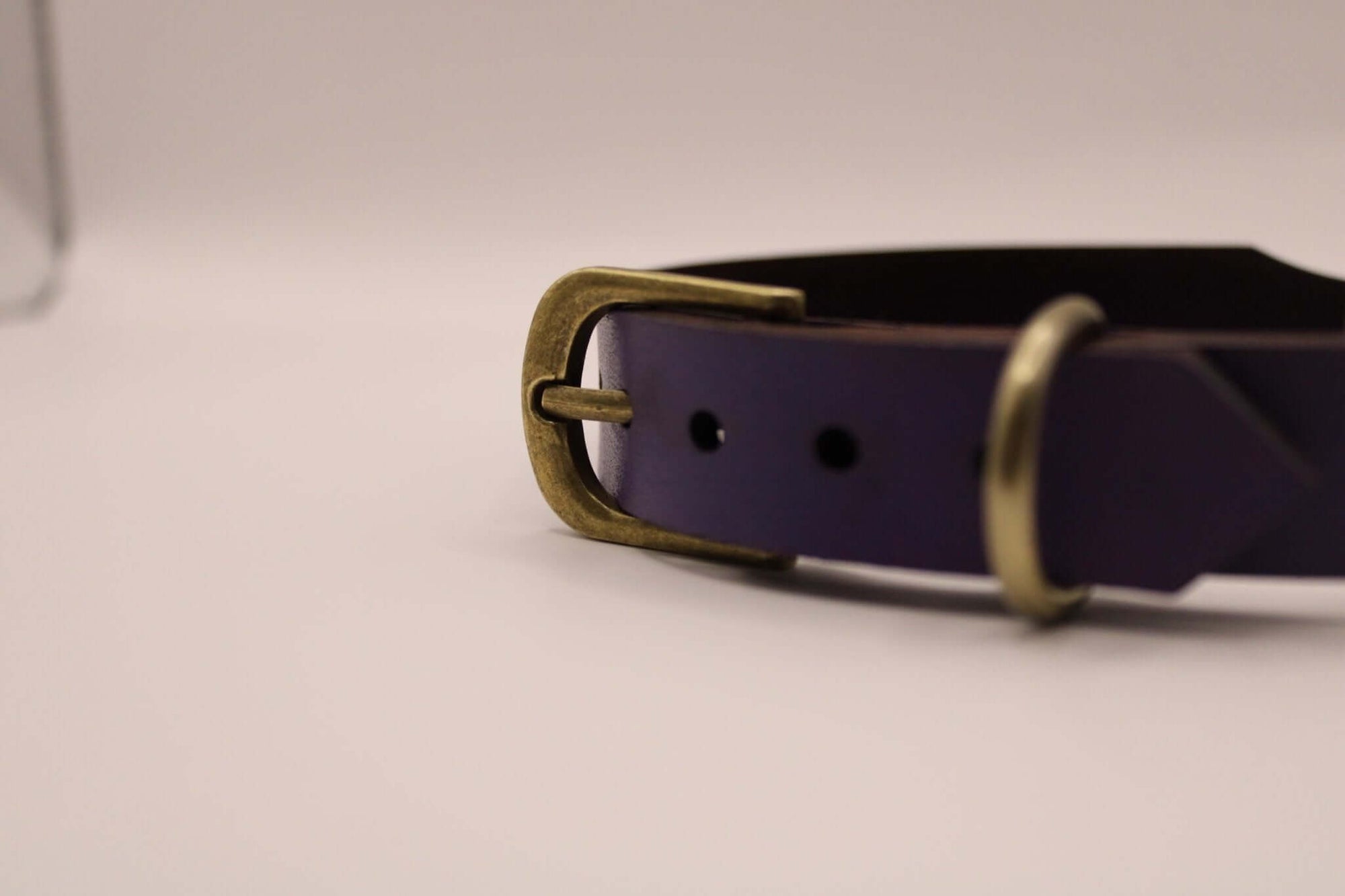 Close-up of a purple leather BDSM collar featuring a brass buckle, ideal for submissive jewelry and bondage gear.